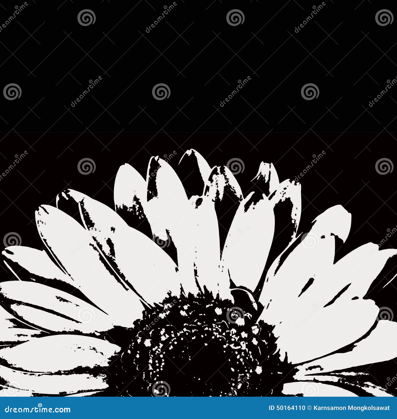 Abstract Black and White Gerbera Flower Stock Illustration