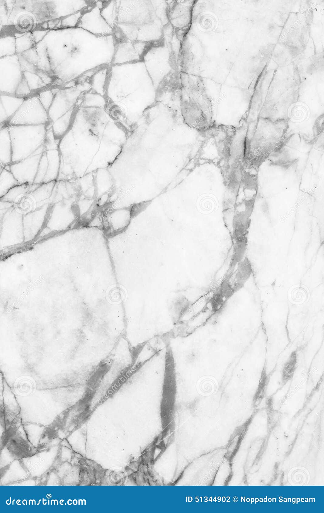 texture vector floor White Black Abstract Marble (natural And Patterned texture vector floor White Black Abstract Marble (natural And Patterned
