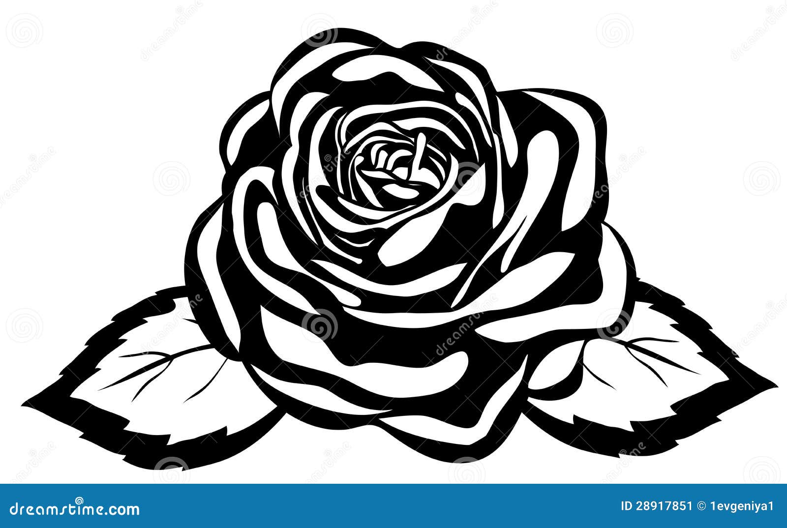 Abstract Black and White Rose. Close-up Isolated Stock Vector -  Illustration of nostalgia, beautiful: 28917851