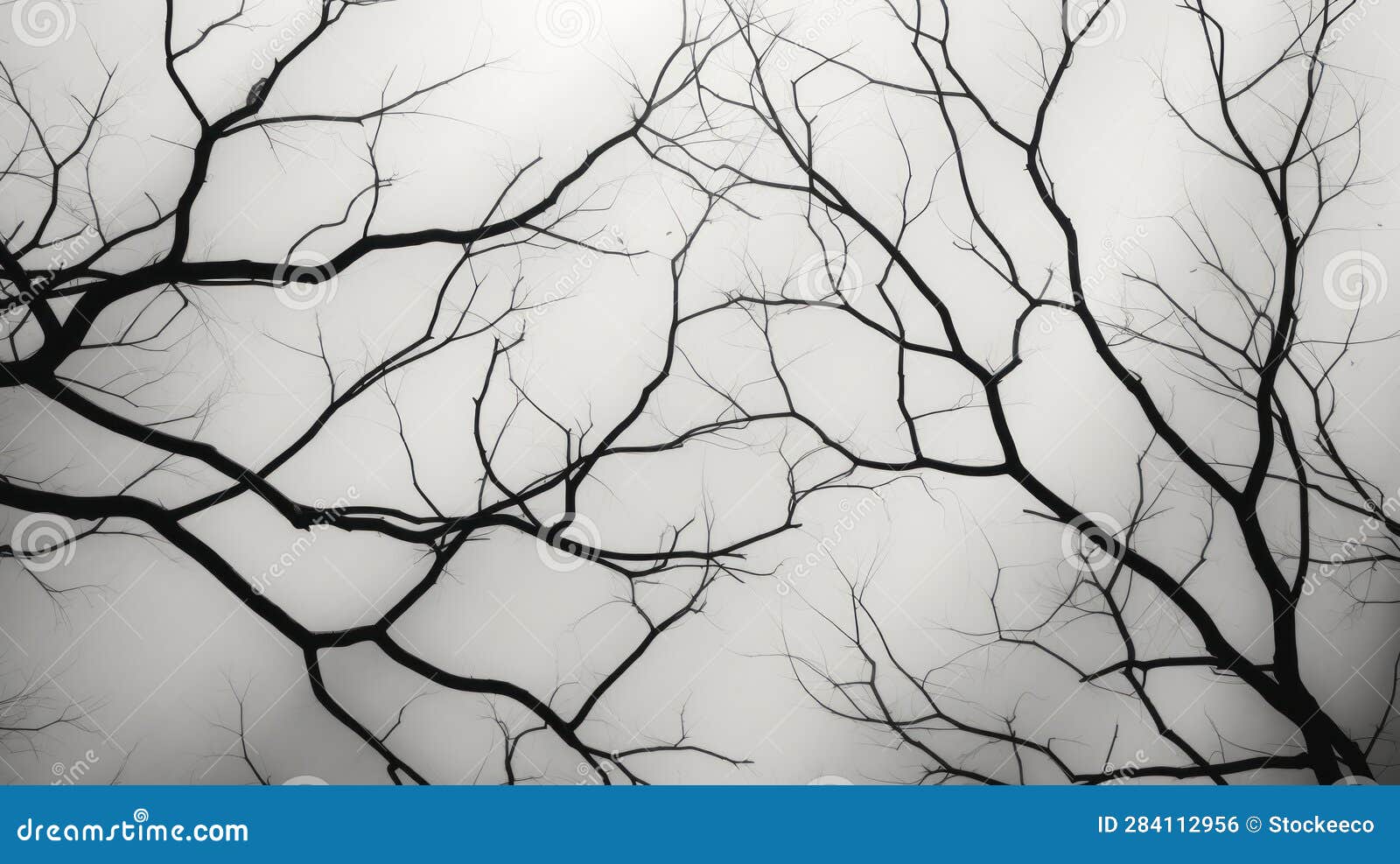 abstract black and white tree branches: translucent overlapping patterns