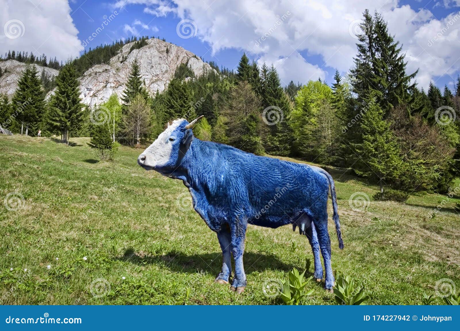 Abstract Blue Cow on Pasture. Stock Photo - Image of graphic, white:  174227942