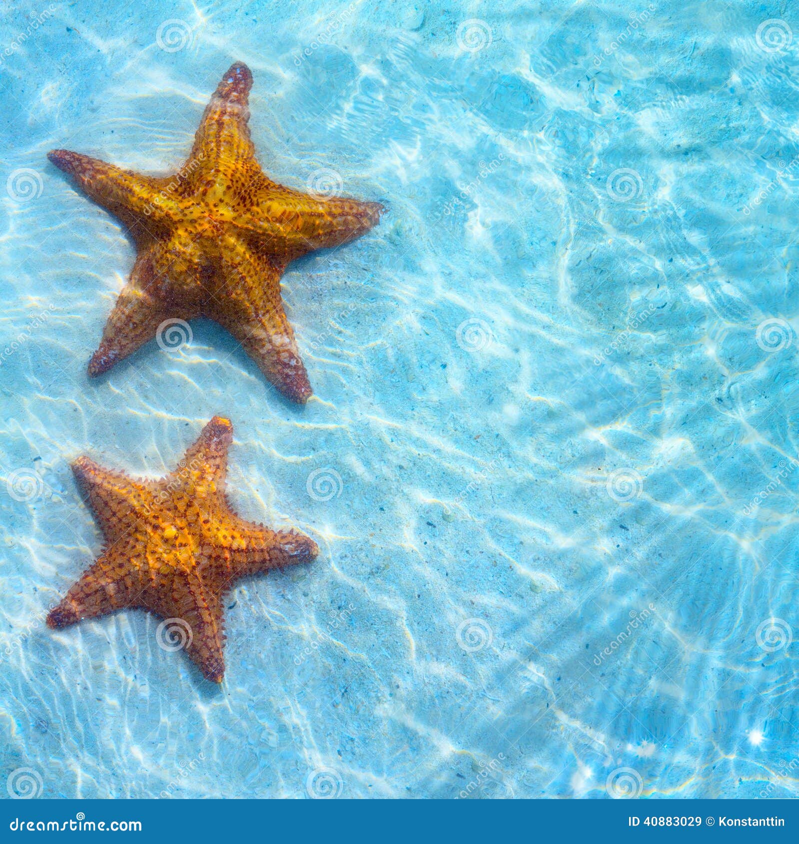 abstract blue sea tropical background with starfish on sand