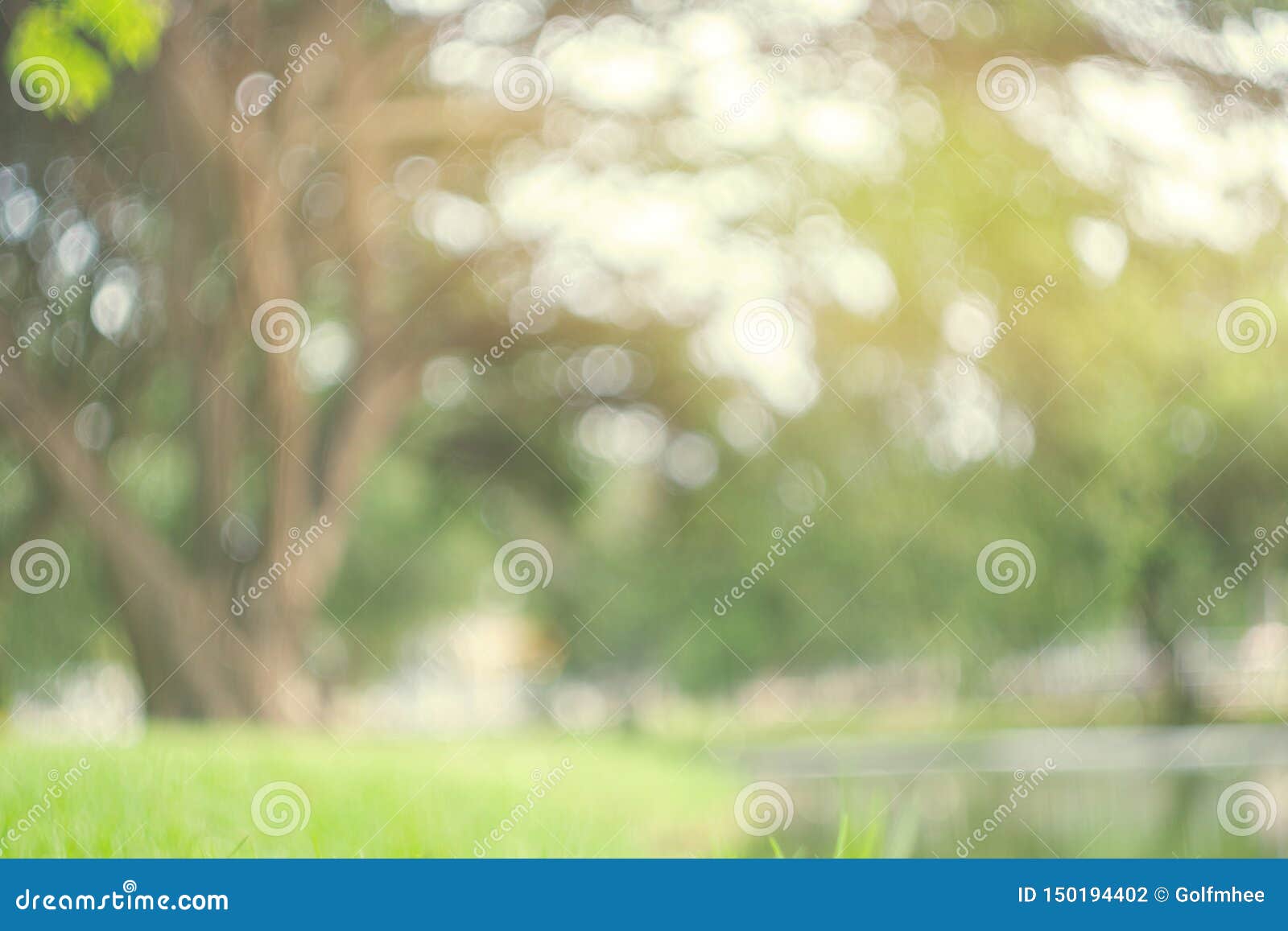 abstract blur green park in spring outdoor background concept for blurry beautiful nature field, horizon autumn meadow scene, eco