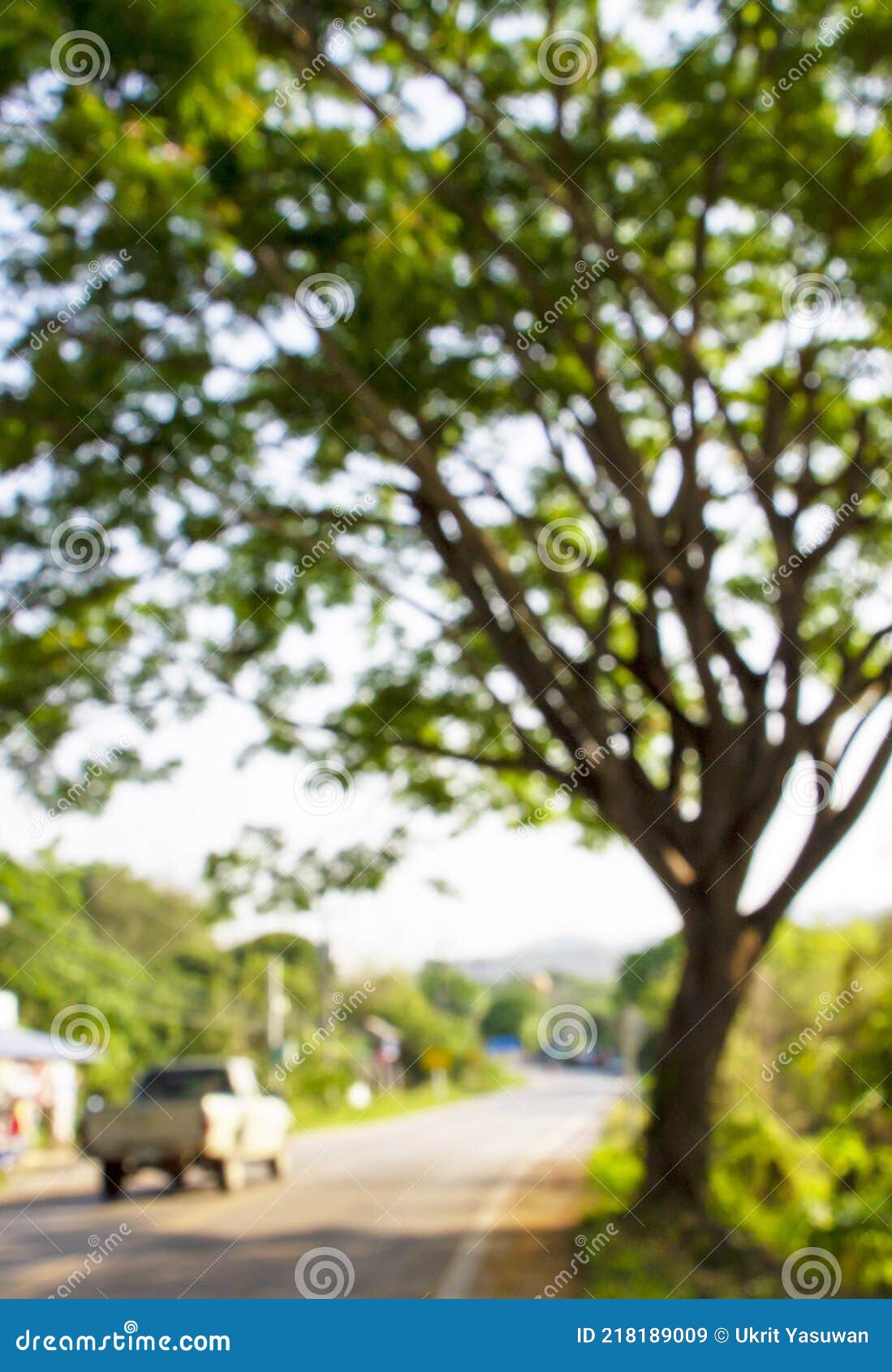 Abstract Blur of a Tree with Bokeh and Countryside Road for Nature ...