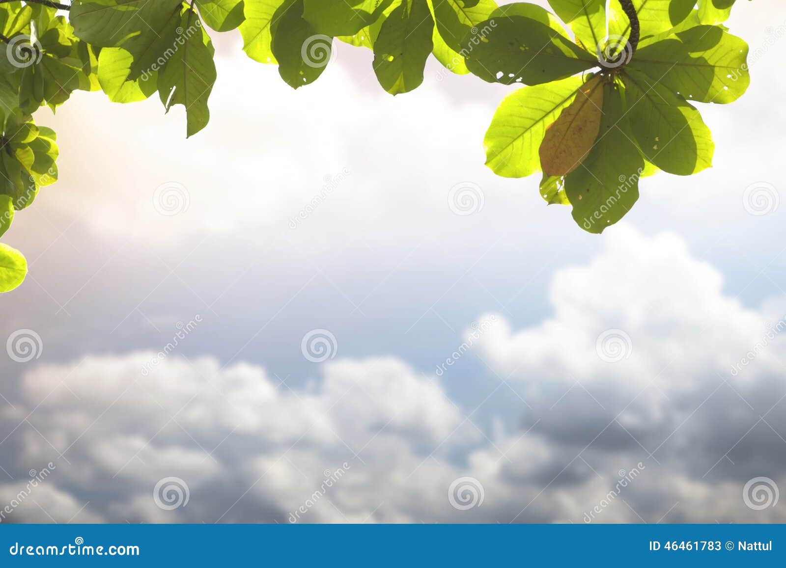 Abstract blurry cloud with leaves frame background
