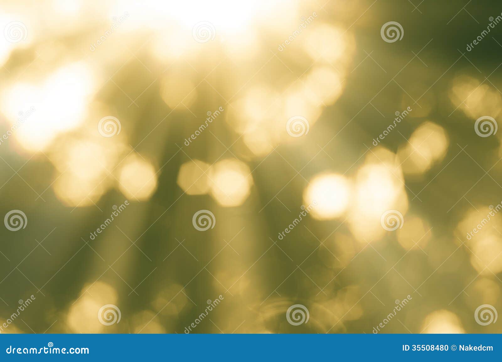 abstract bokeh background and sunlight