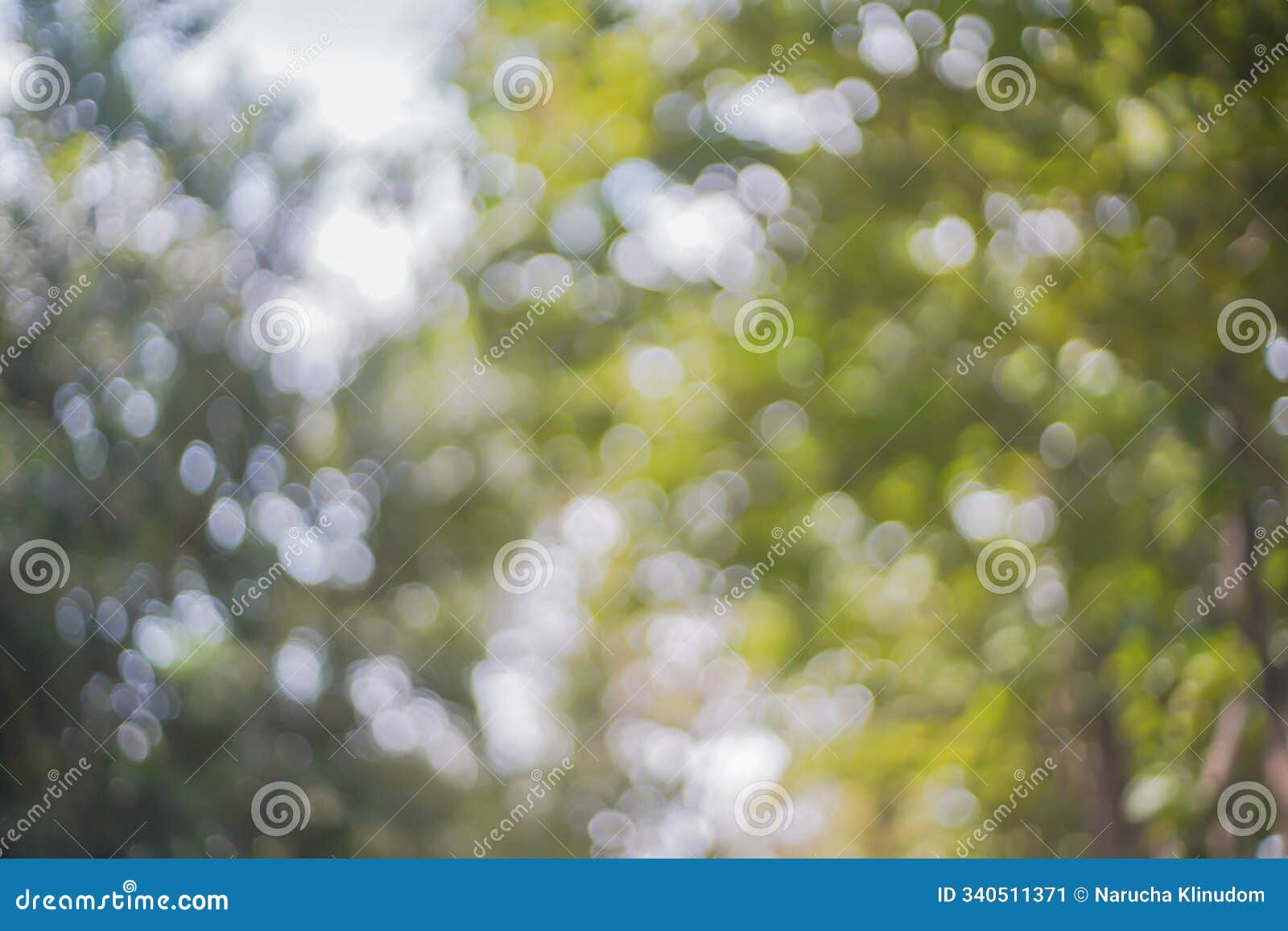 the abstract bokeh natural background