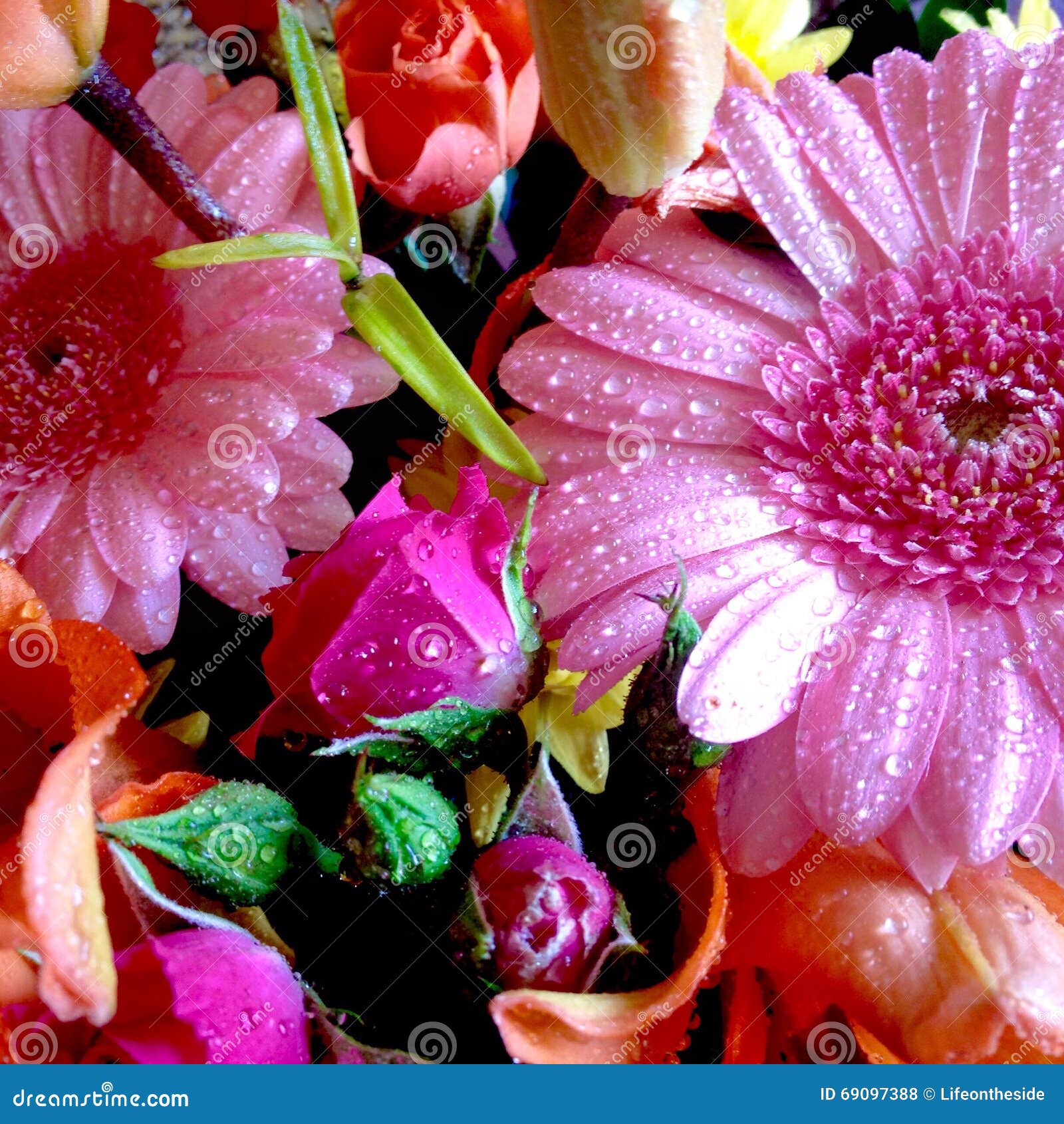 abstract colors colorful background spring bouquet pink orange flowers