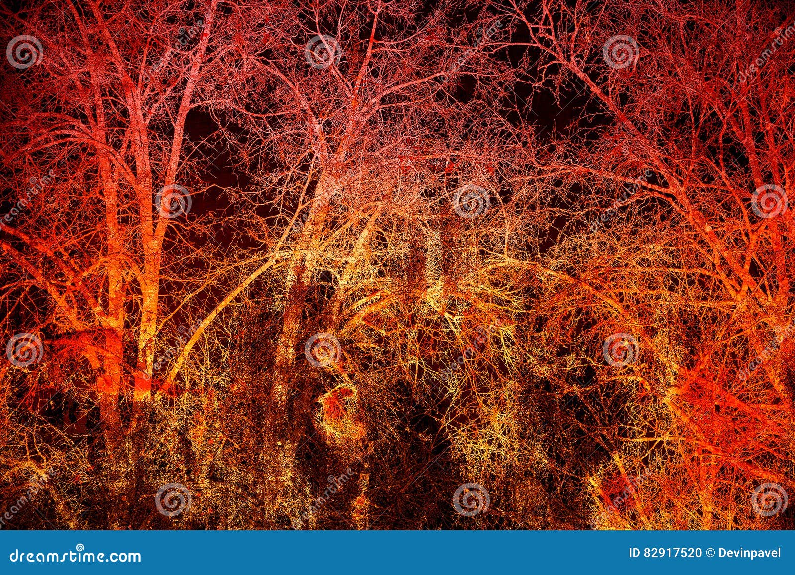 Abstract Dark Background. Tree Branches on a Black and Red Background Stock  Photo - Image of forest, grunge: 82917520