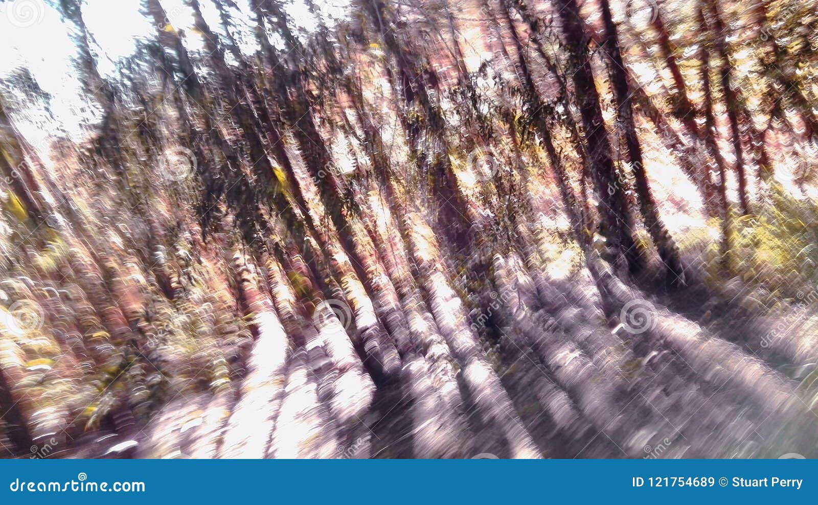 trying to escape from forest