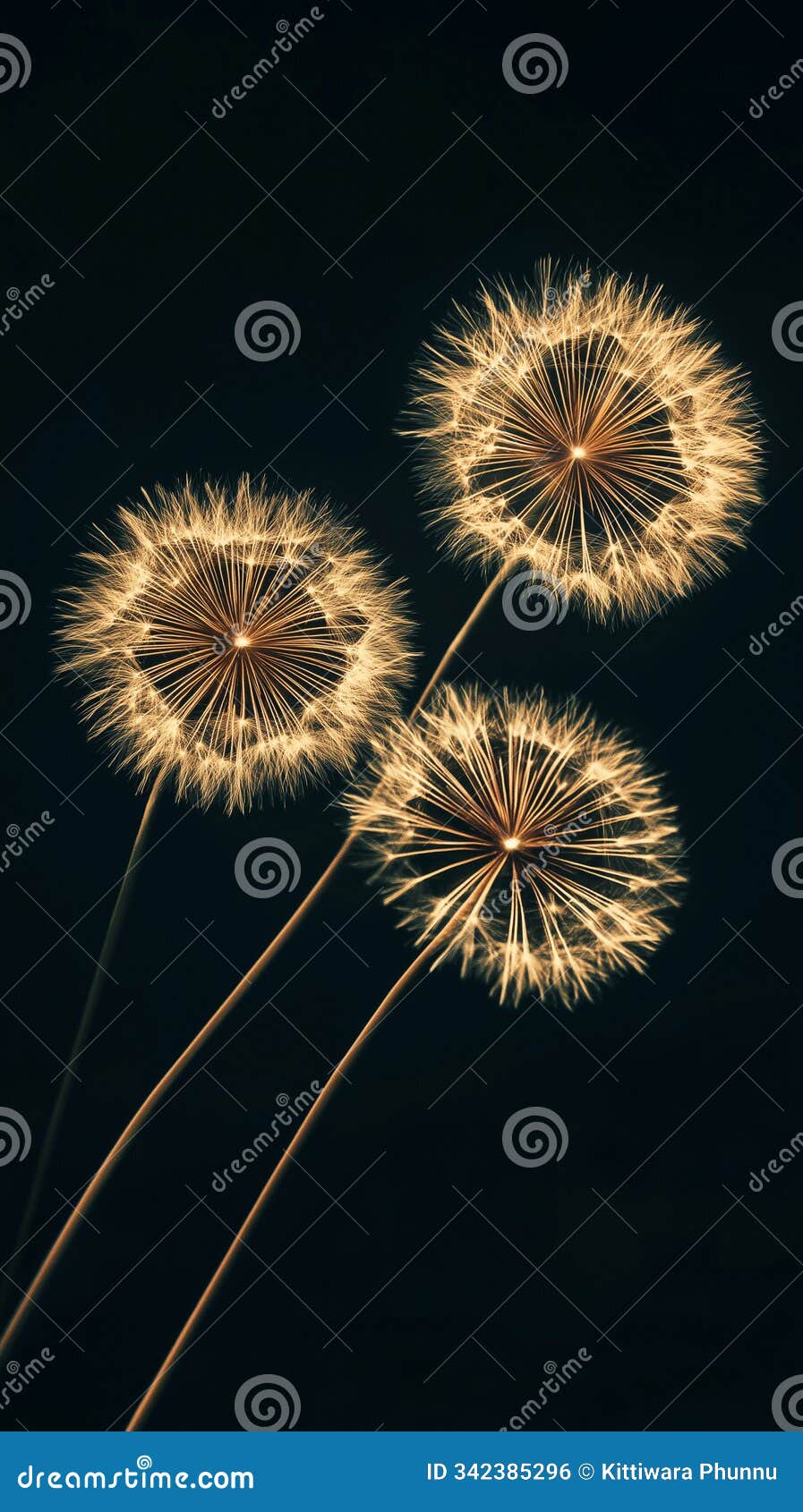 abstract  of firework creat bokeh background enhance celebration of new year and christmas, add touch of fantasy to