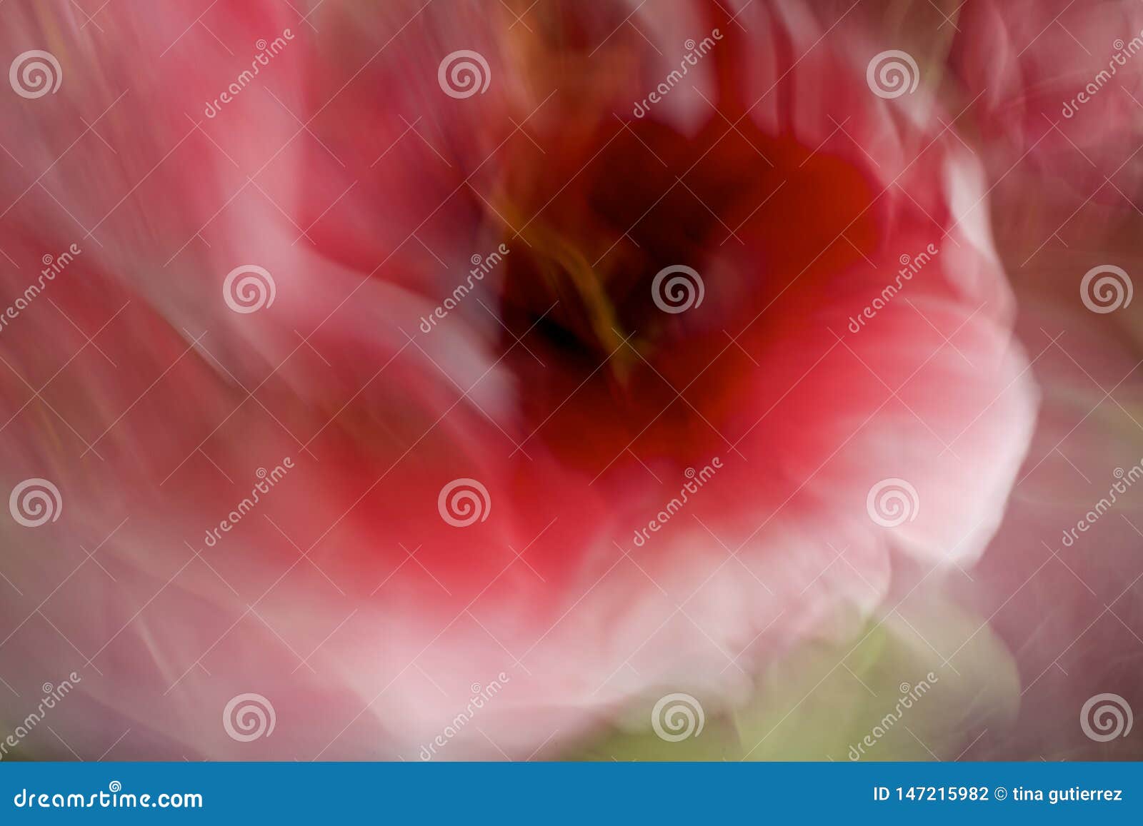 Abstract Red,orange and Yellow Coral, Tulip Flowers in a Dreamlike ...