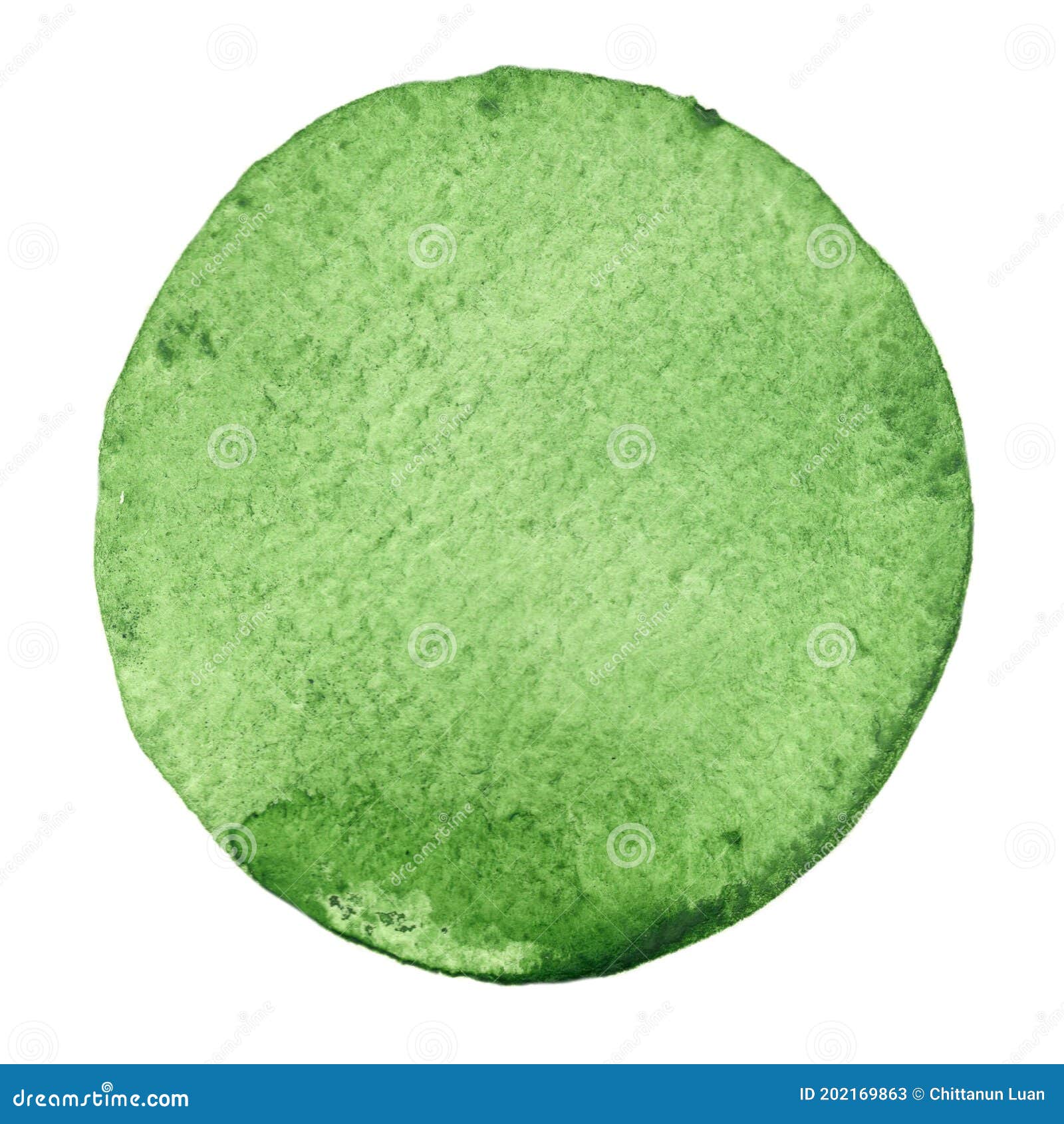 abstract forest green brush stroke circle  background banner.
