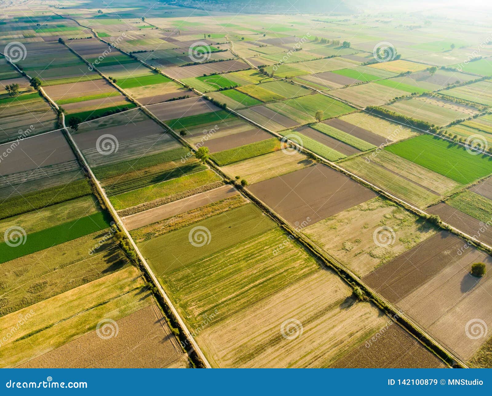 Abstract Geometric Shapes of Agricultural Parcels of Different Crops in ...