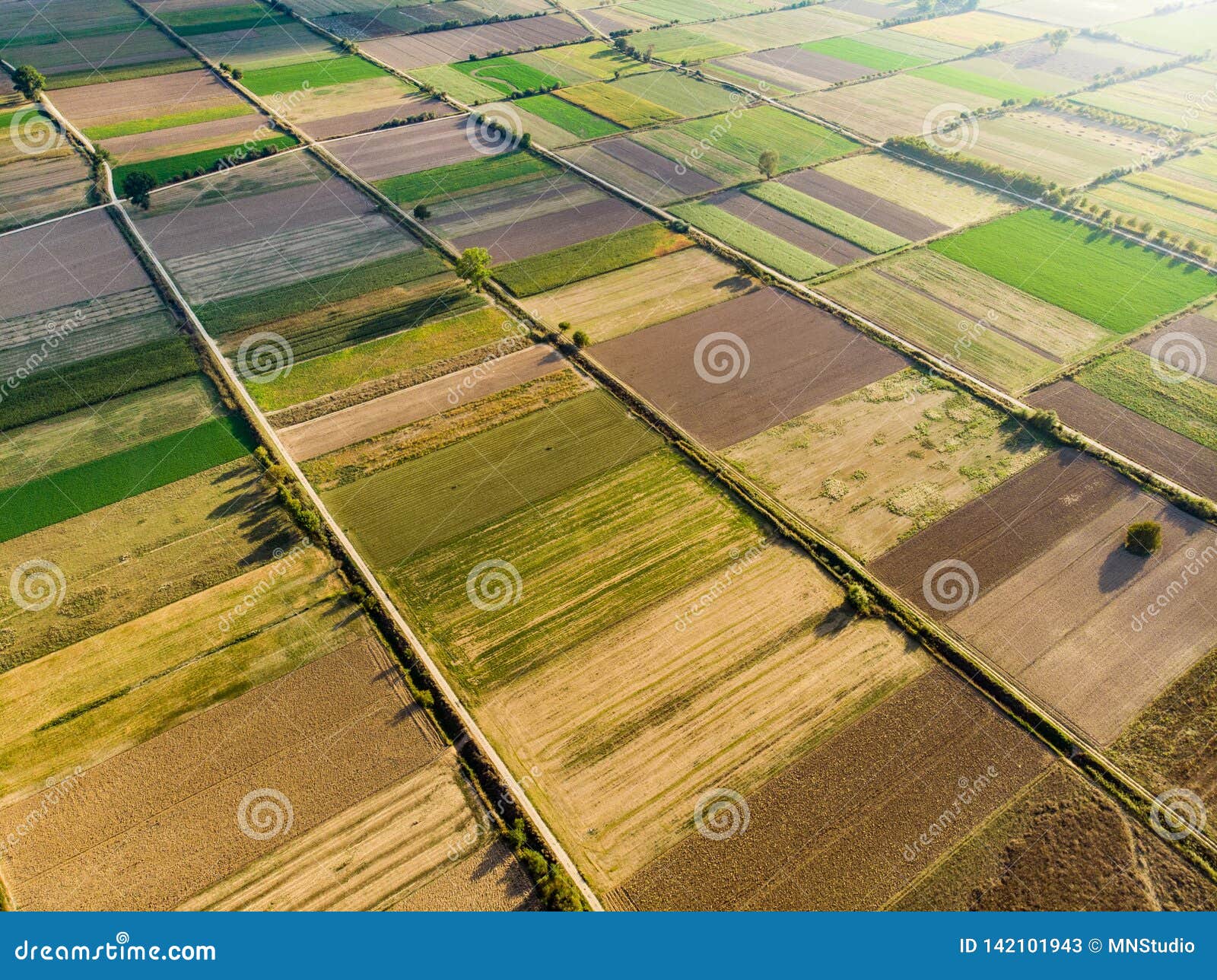 Abstract Geometric Shapes of Agricultural Parcels of Different Crops in ...