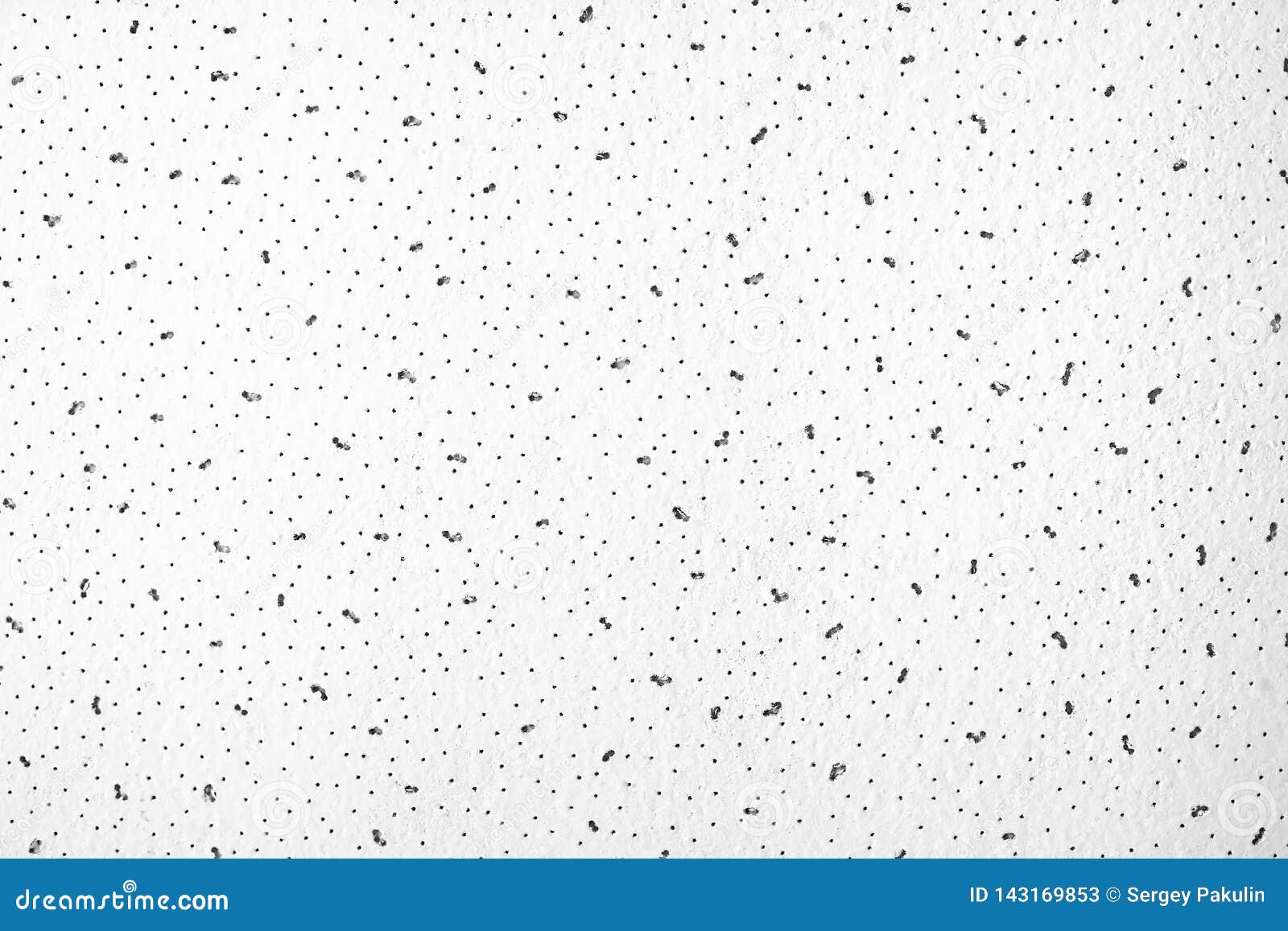 Abstract Gray-white Background with Black Dots and Specks. the ...