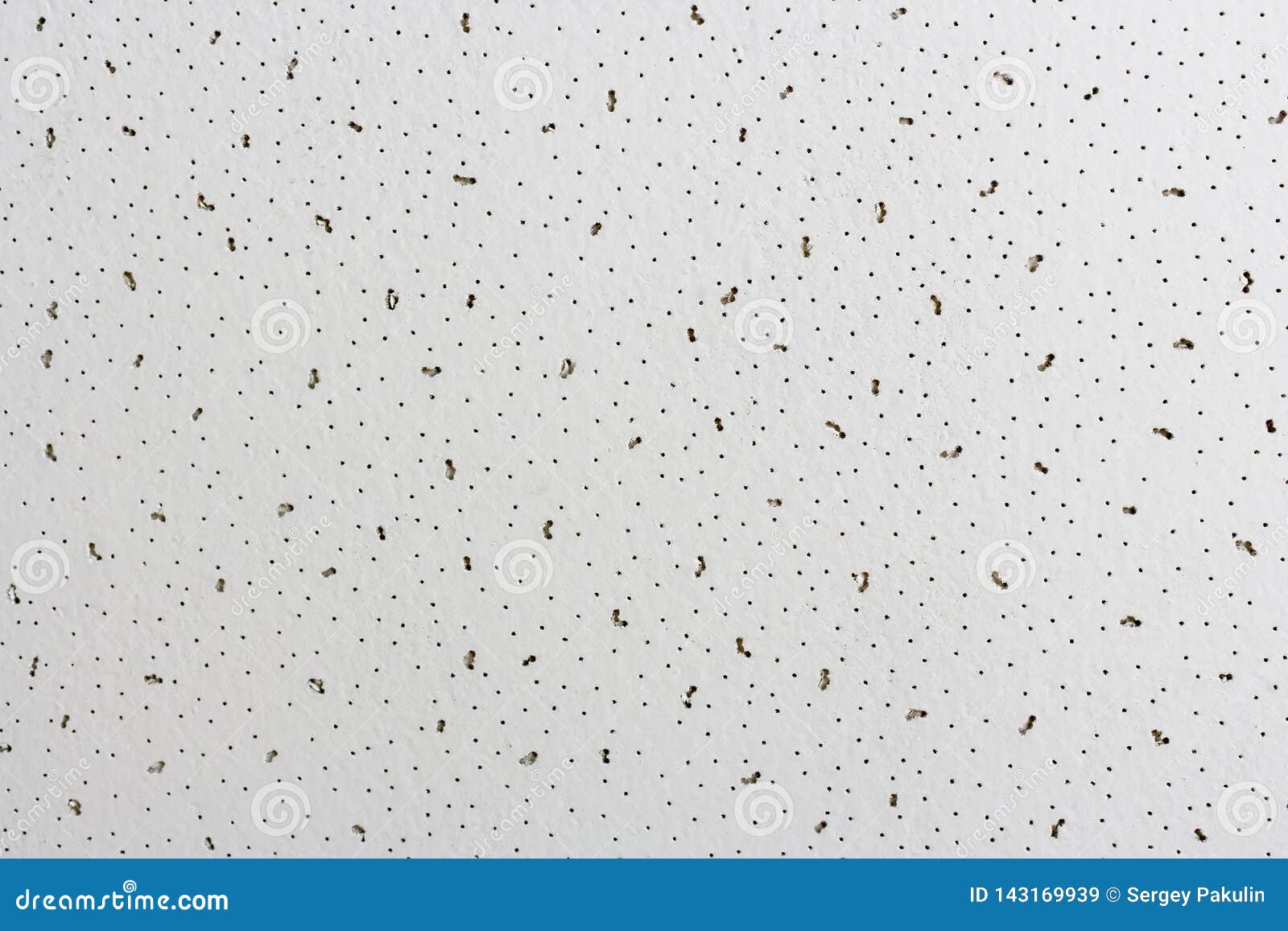 Abstract Gray-white Background with Black Dots and Specks. the ...
