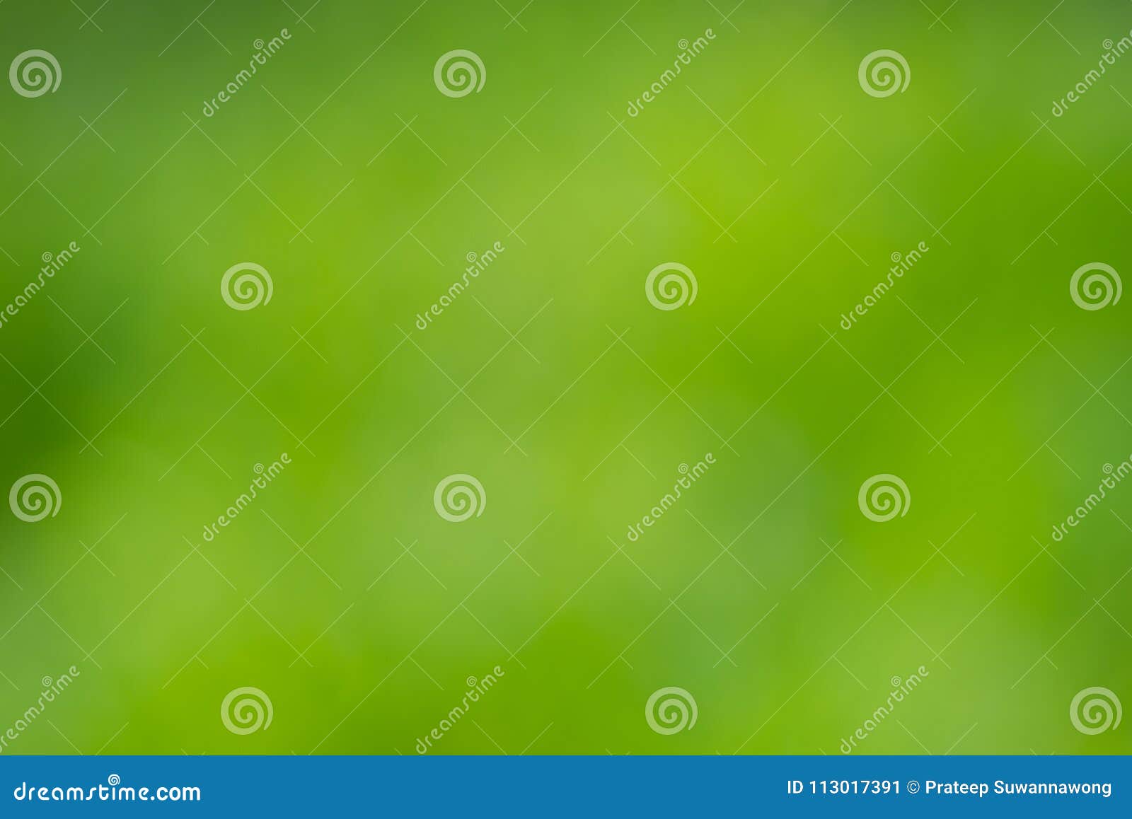 Abstract Green Leaves Blur Background Stock Image Image of nature