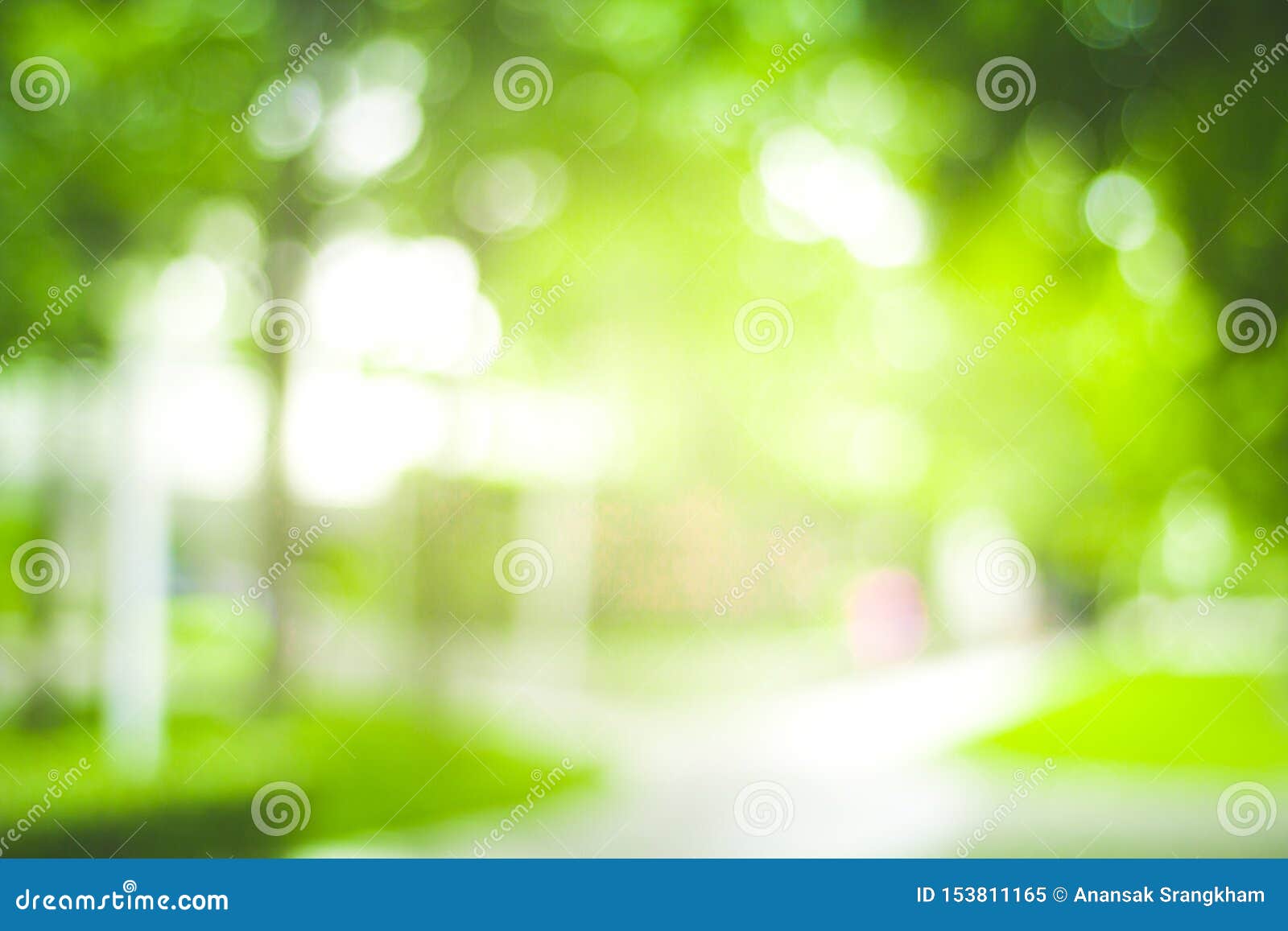 Abstract Green Nature Blur Background and Sunlight Stock Image - Image of  environment, focus: 153811165