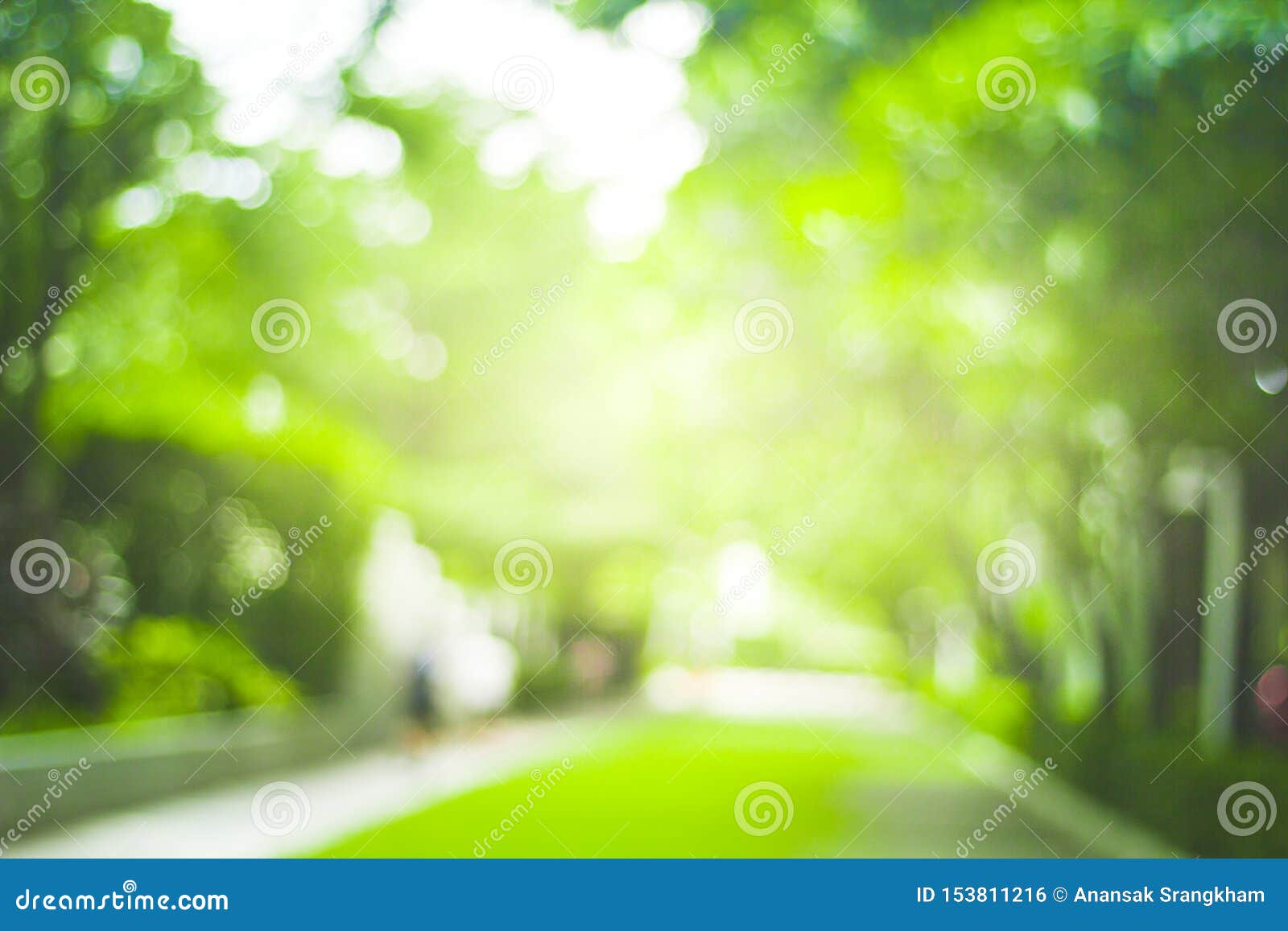 Abstract Green Nature Blur Background and Sunlight Stock Photo - Image of  design, texture: 153811216