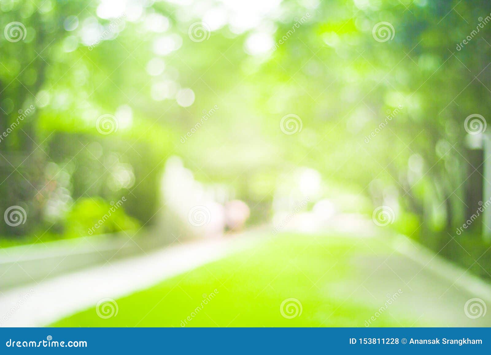 Pub Mount Bank skrig Abstract Green Nature Blur Background and Sunlight Stock Photo - Image of  abstract, concept: 153811228