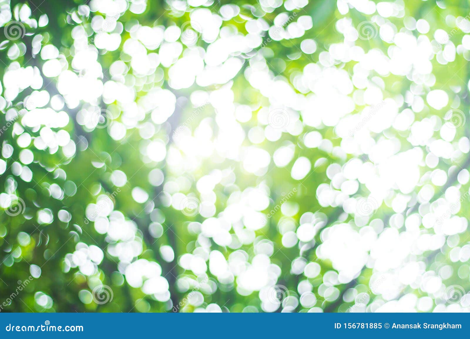 Abstract Green Nature Blur Background and Sunlight Stock Image - Image of  shiny, beautiful: 156781885