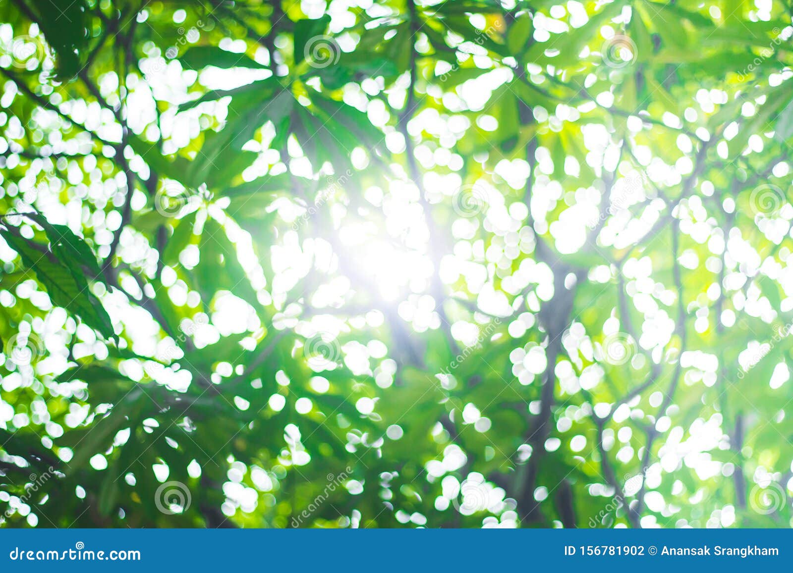 Green Nature Blur: Hình ảnh xanh rì của thiên nhiên sẽ khiến bạn thực sự thư giãn và được trải nghiệm thế giới xanh tươi. Hình ảnh xanh rì được xử lý theo phong cách mờ đẹp, khiến bạn cảm thấy như đang nhìn từ một khoảng cách xa và đem lại cảm giác bình yên và hạnh phúc.