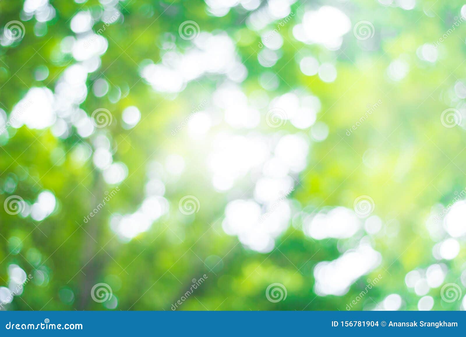 Forkæl dig krigerisk Lave om Abstract Green Nature Blur Background and Sunlight Stock Photo - Image of  backdrop, pattern: 156781904