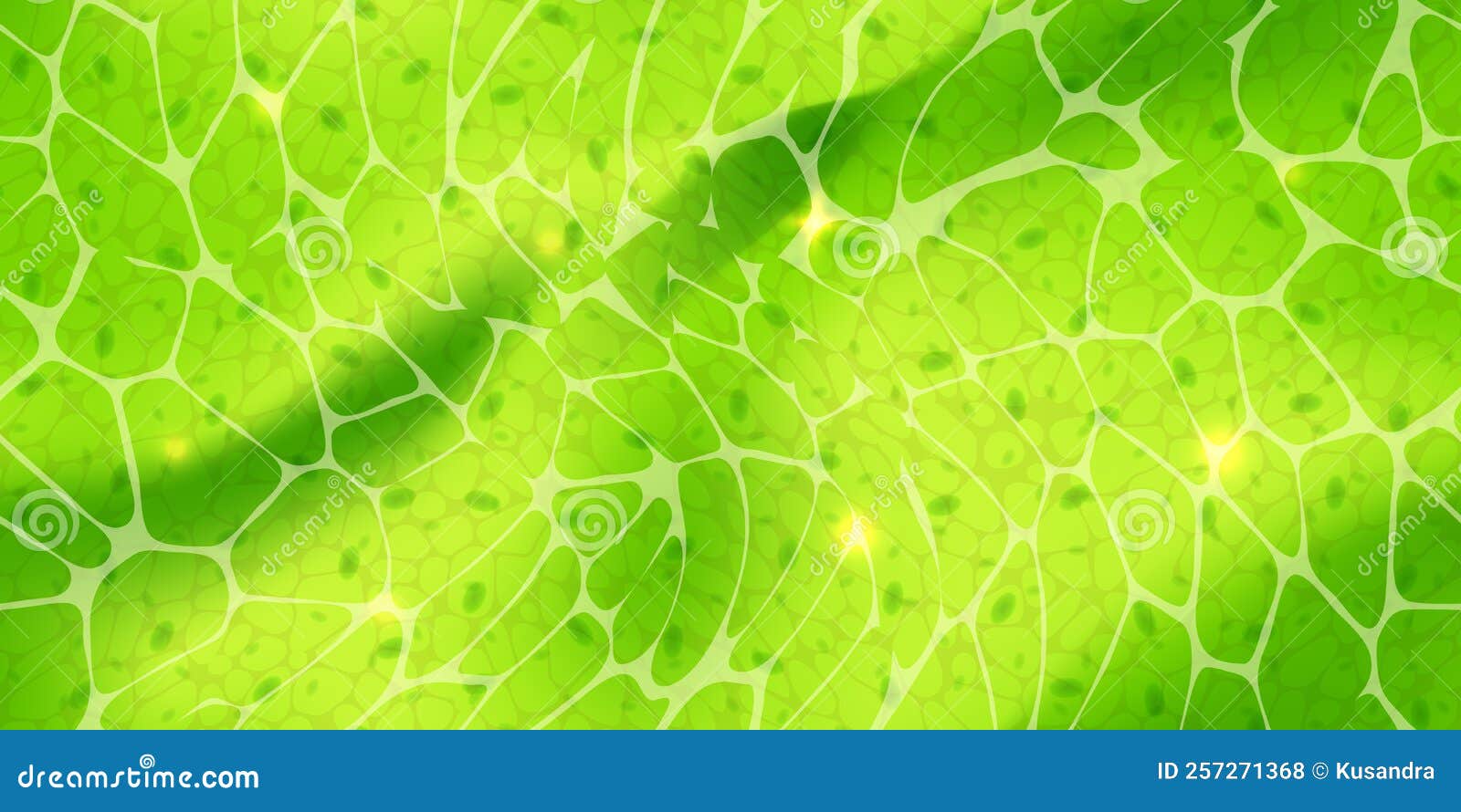 abstract green wallpaper or plant cells with nuclears texture under a microscope seamless pattern