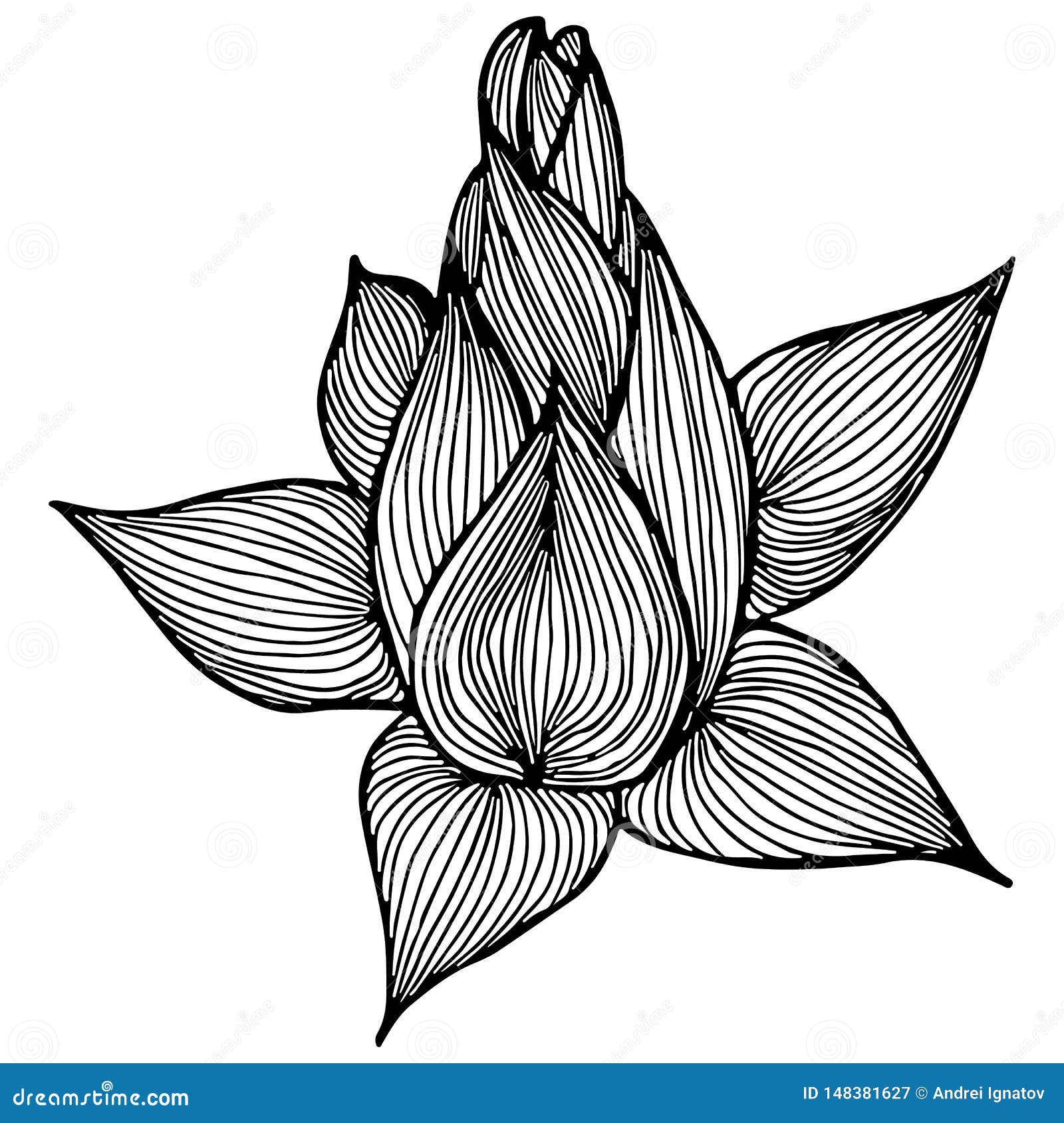 Free Free 103 Lotus Flower Outline Svg SVG PNG EPS DXF File