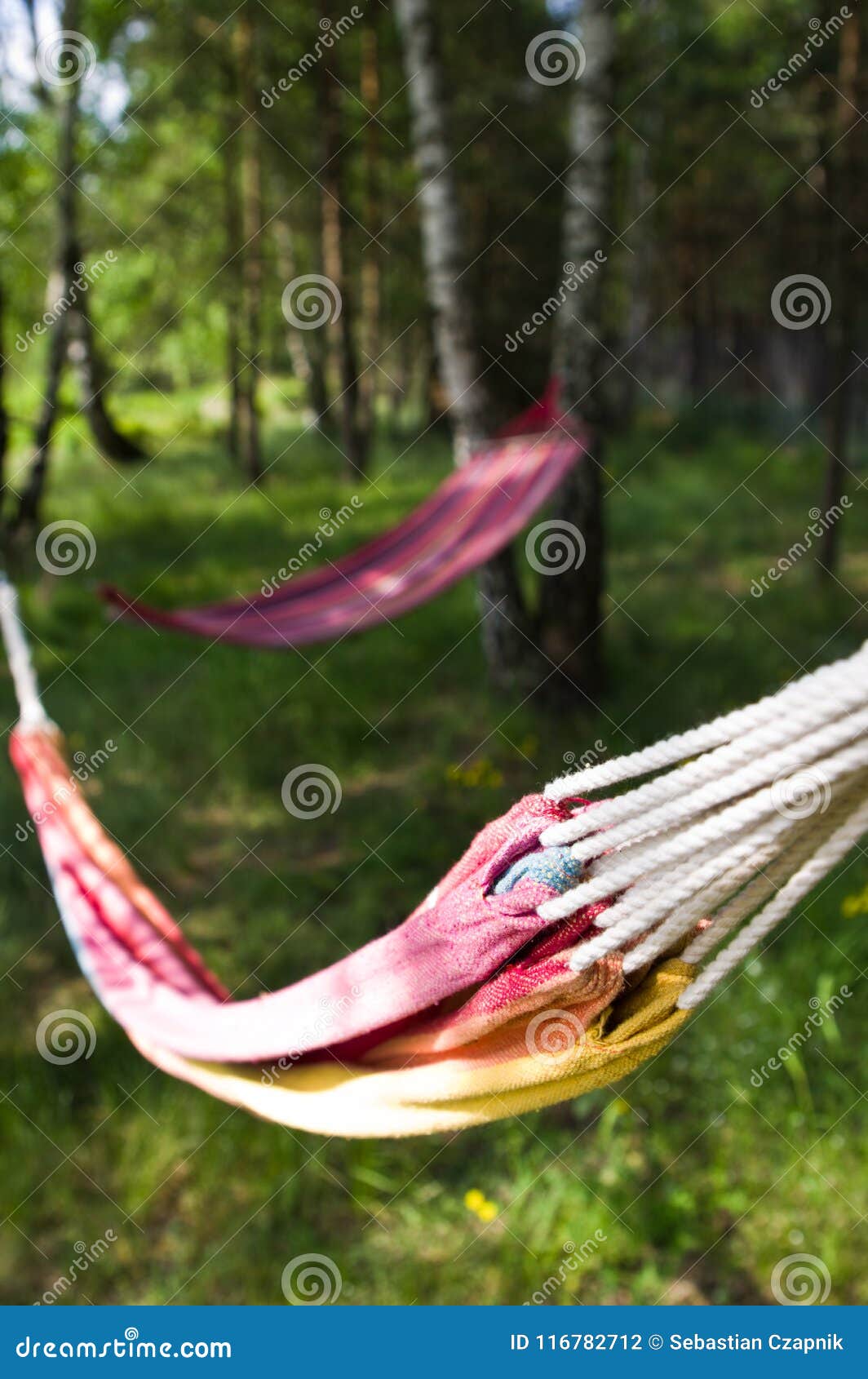 two colorful hammocks in garden