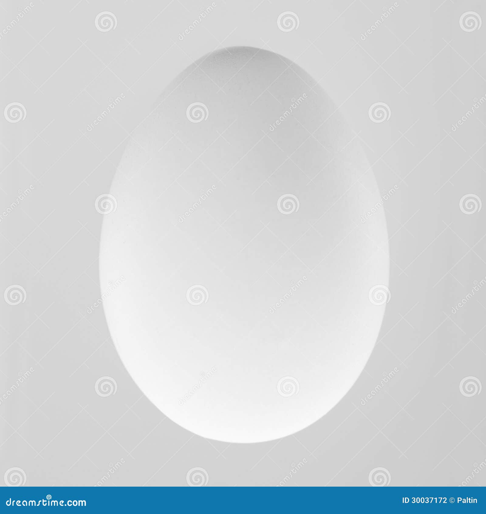Egg stock photo. Image of graphic, background, isolated 30037172