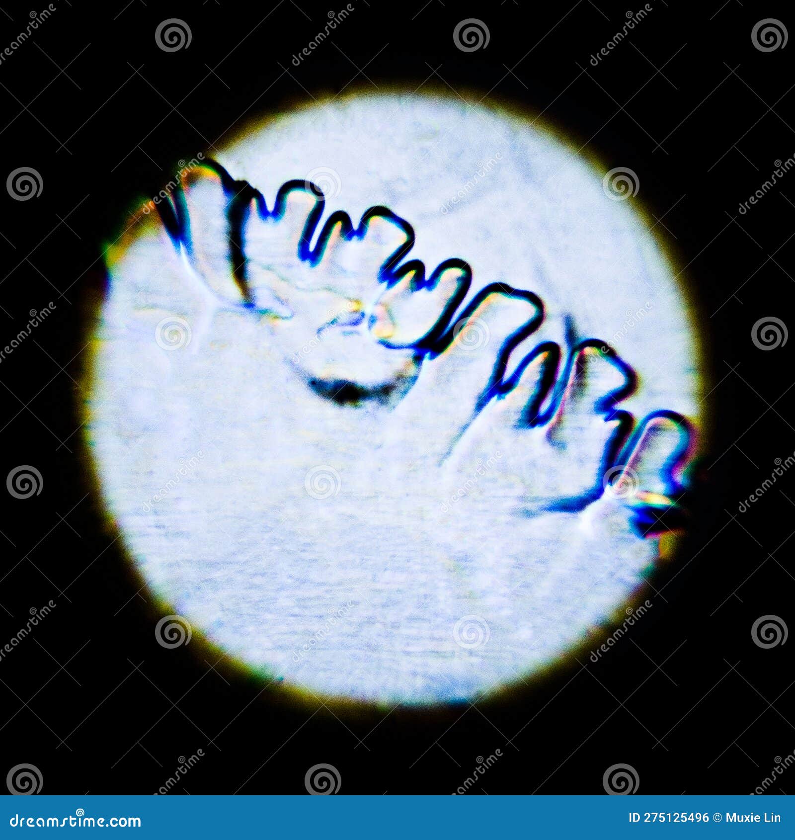 Abstract Images of Vegetable Cells Under a Microscope Stock Photo