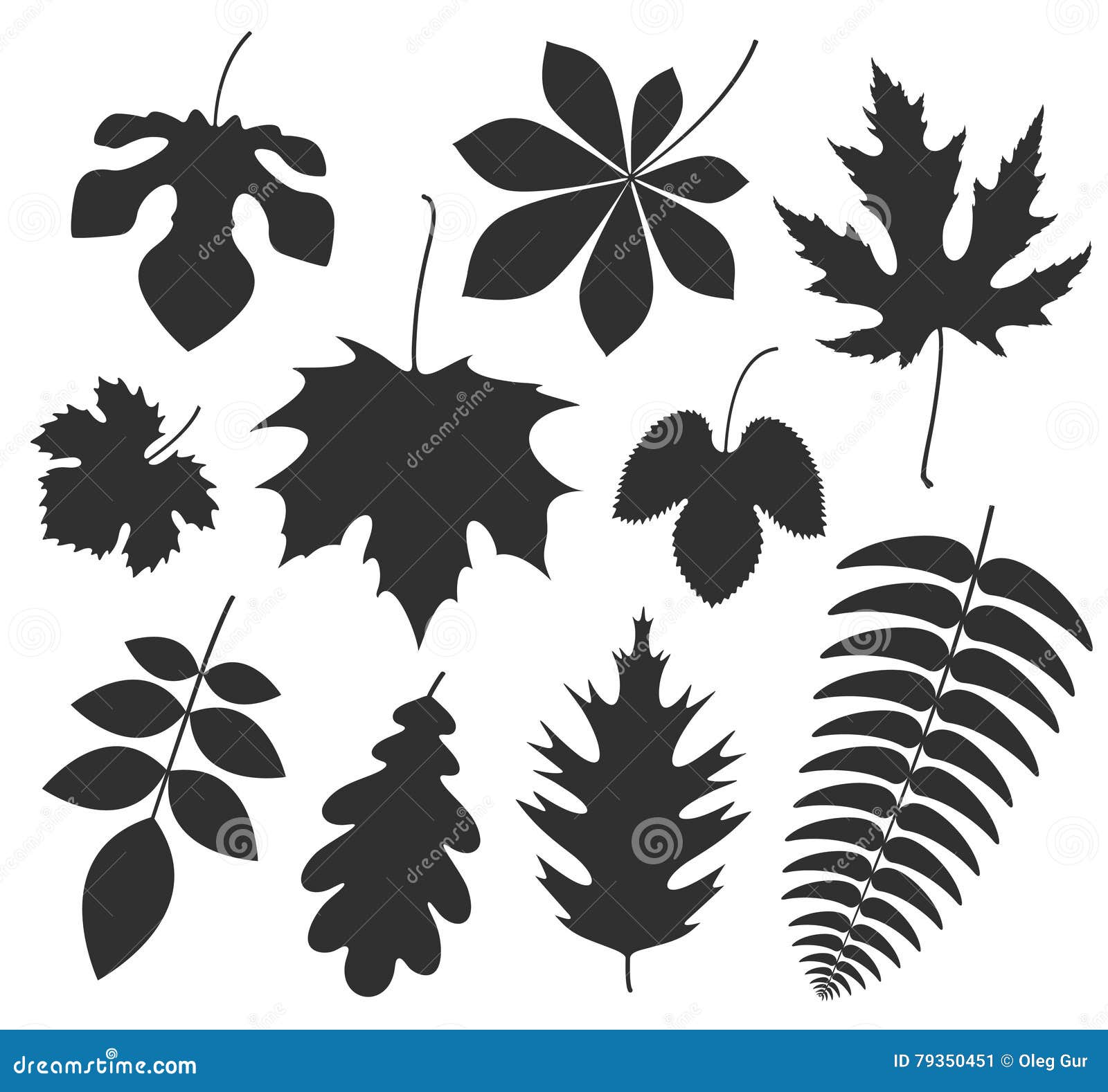 Abstract Leaf. Silhouette stock vector. Illustration of icon - 79350451
