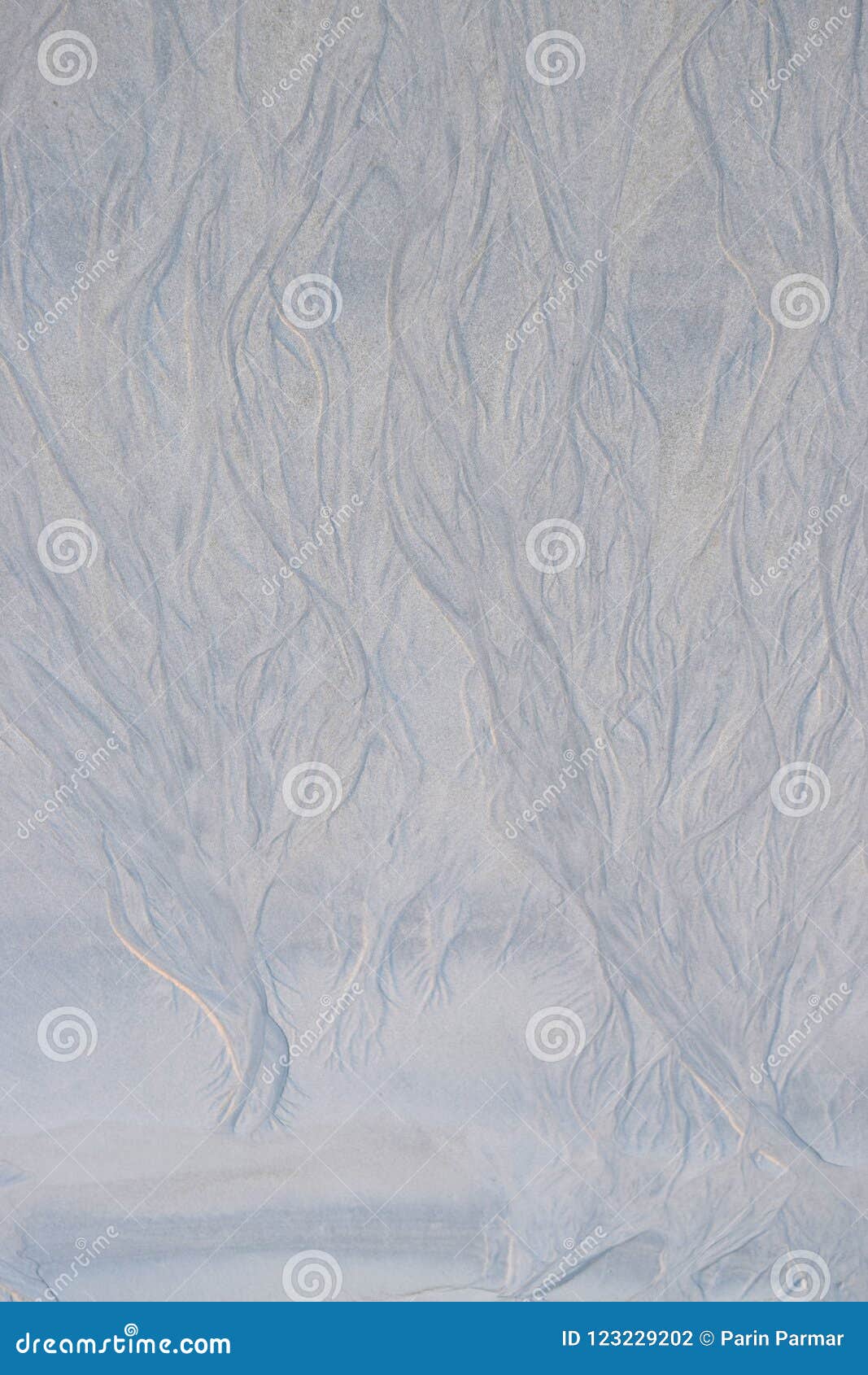 abstract lines, curves, forms, s and patterns on sandy beach due to water current - natural background