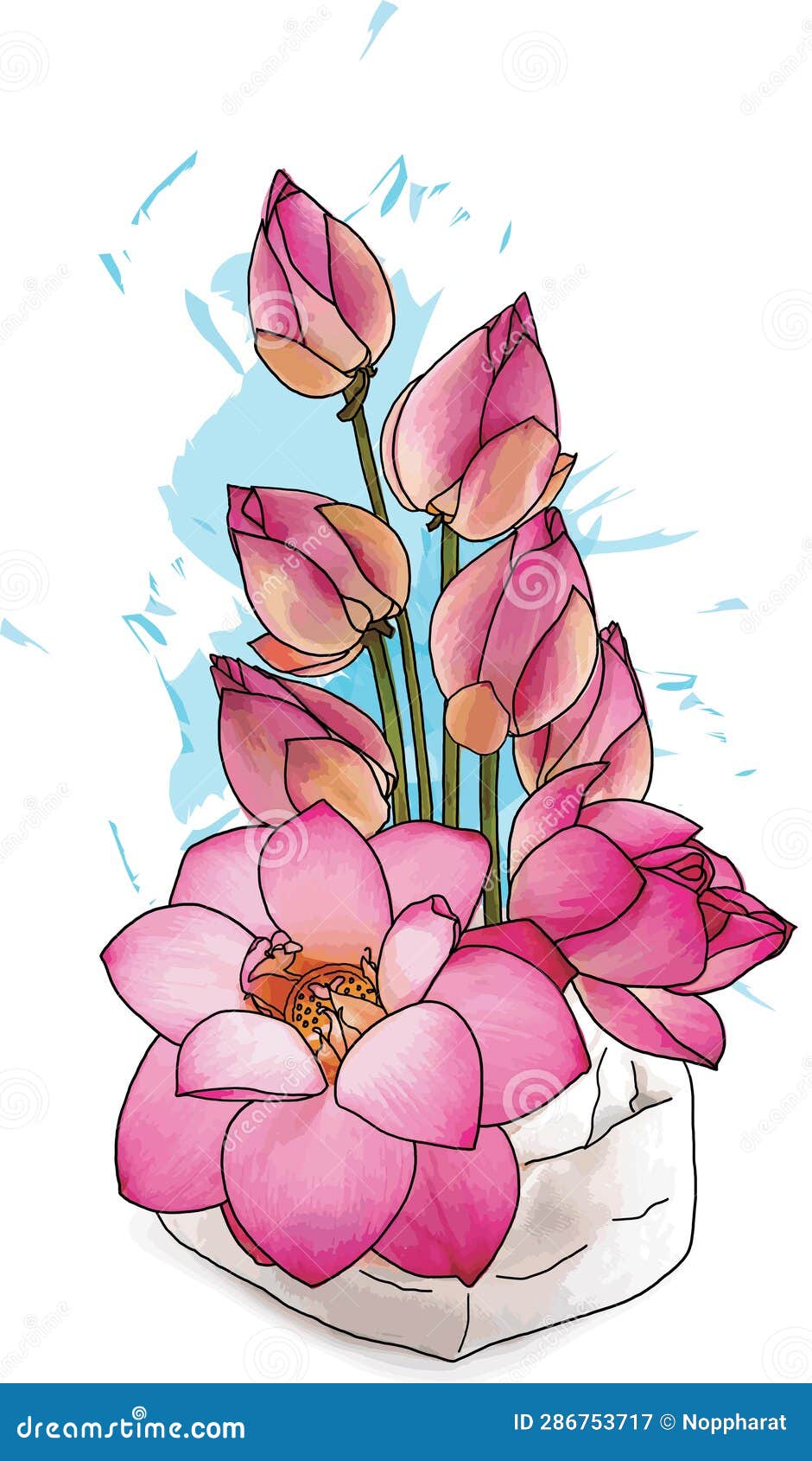 Abstract of Lotus Flower Arrangements with Color Splashed on White