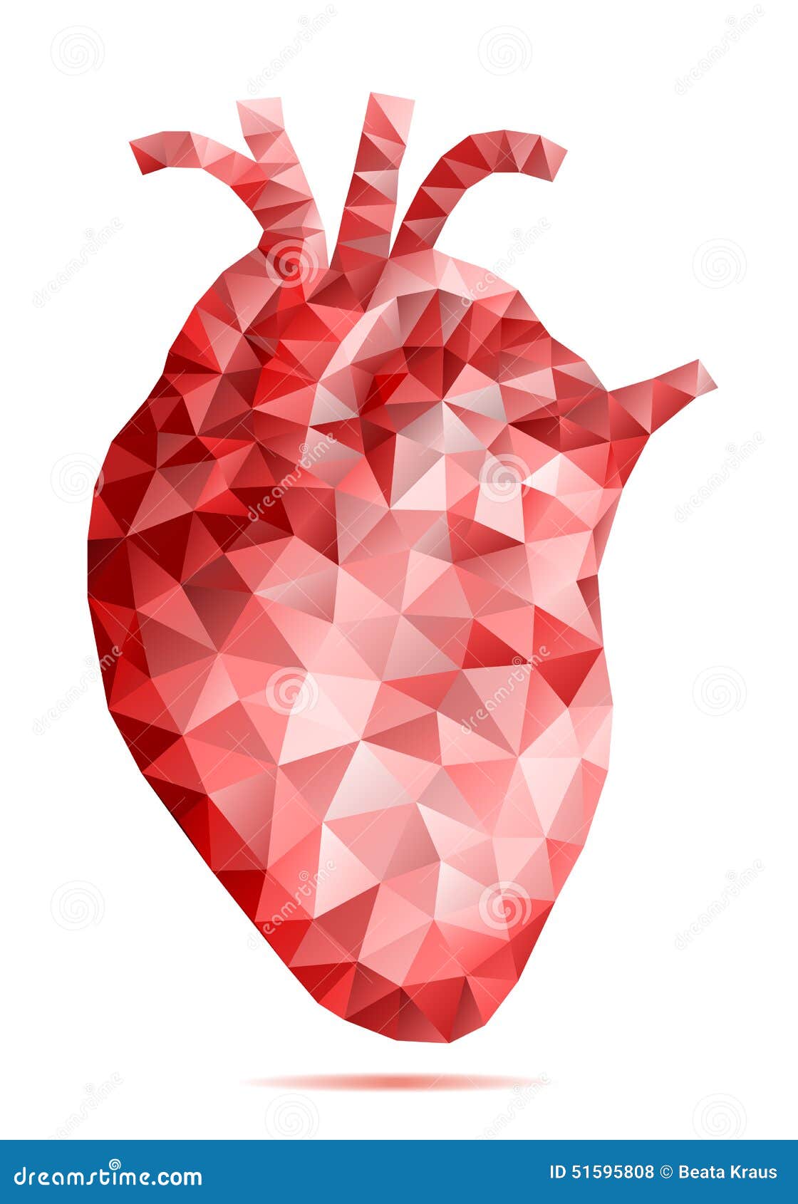 Heart Human Stock Illustrations – 191,071 Heart Human Stock Illustrations,  Vectors & Clipart - Dreamstime