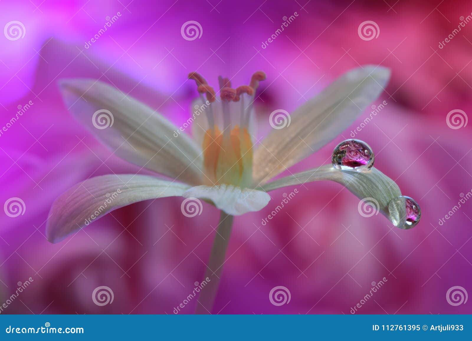 abstract macro photo flower water drops artistic motion background desktop flowers made pastel tones tranquil 112761395