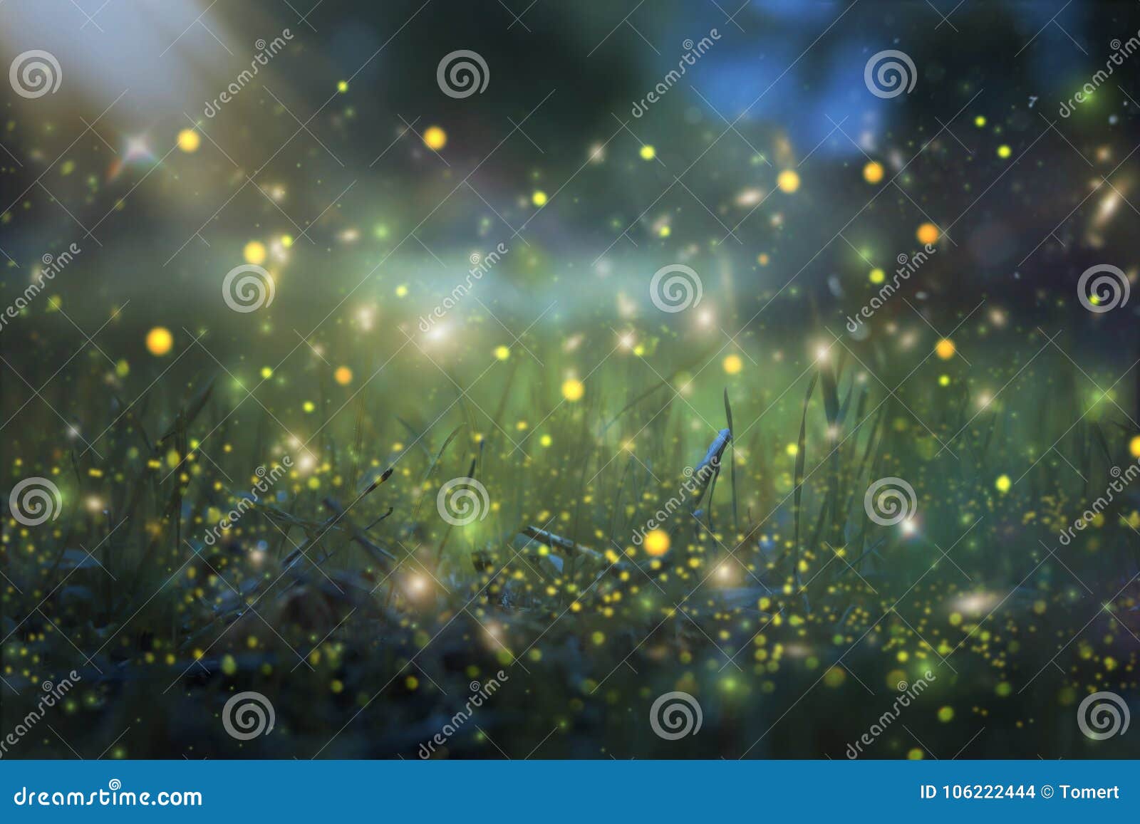abstract and magical image of firefly flying in the night forest. fairy tale concept.