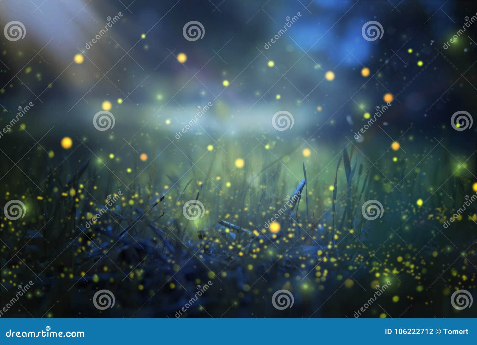 abstract and magical image of firefly flying in the night forest. fairy tale concept.