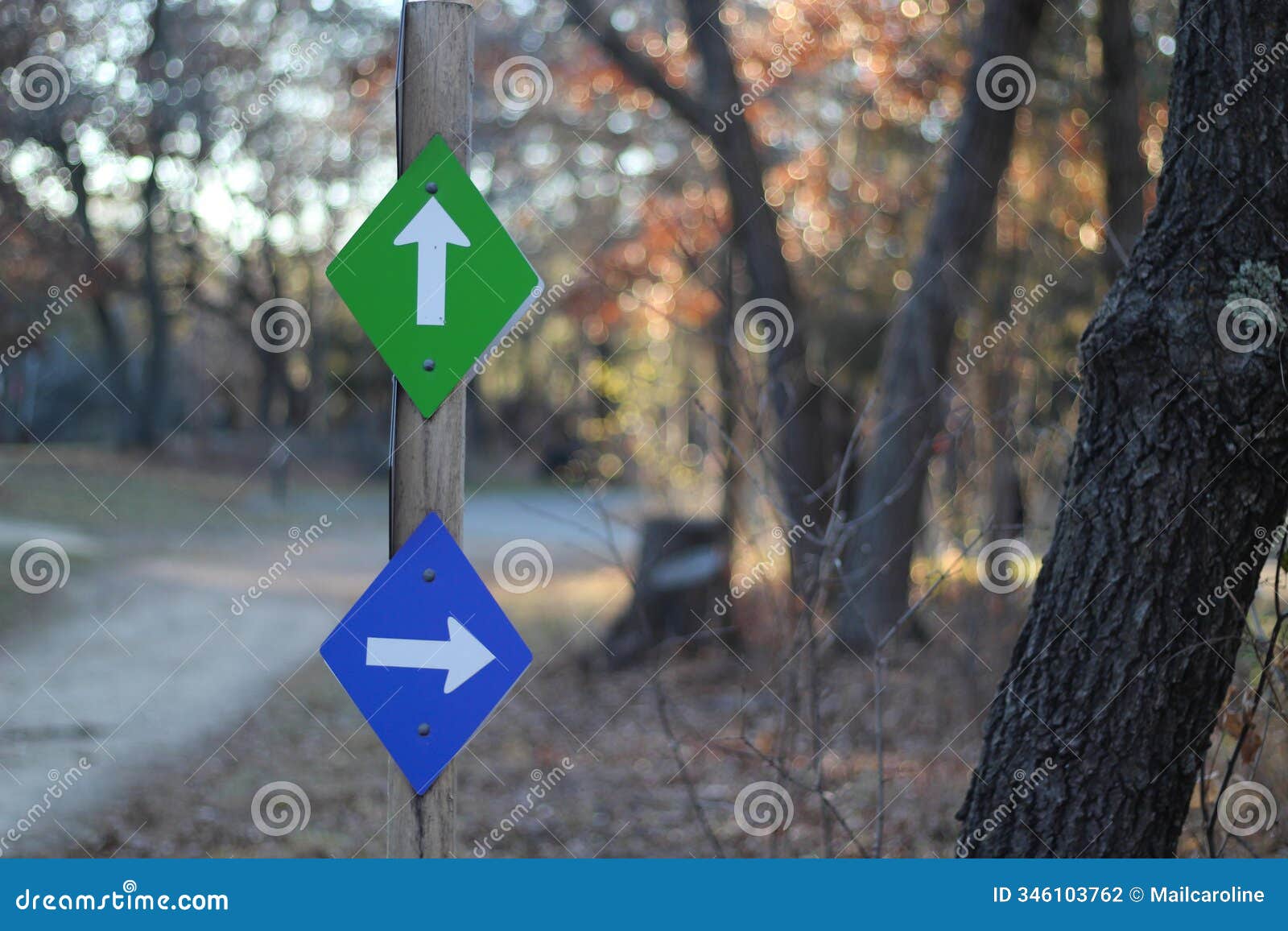 abstract multidirectional arrows park trail road sign instructions conflicting confusion metaphor path decisions business life