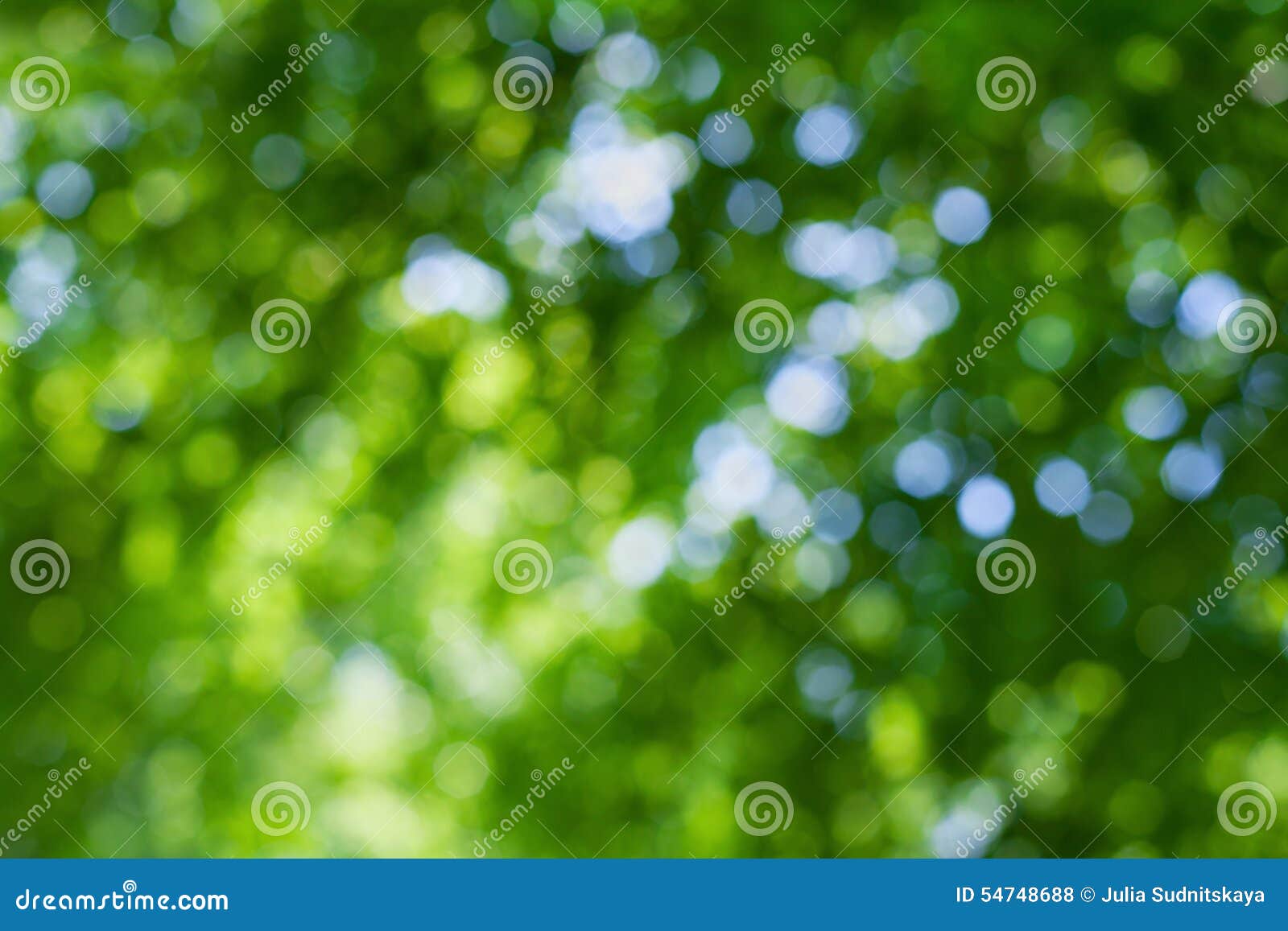 Cùng trải nghiệm hơi thở của thiên nhiên như lần lượt chạy qua các hạt bokeh màu xanh lá cây trong hình ảnh này. Bạn sẽ cảm thấy bình an và sáng tạo hơn bao giờ hết!