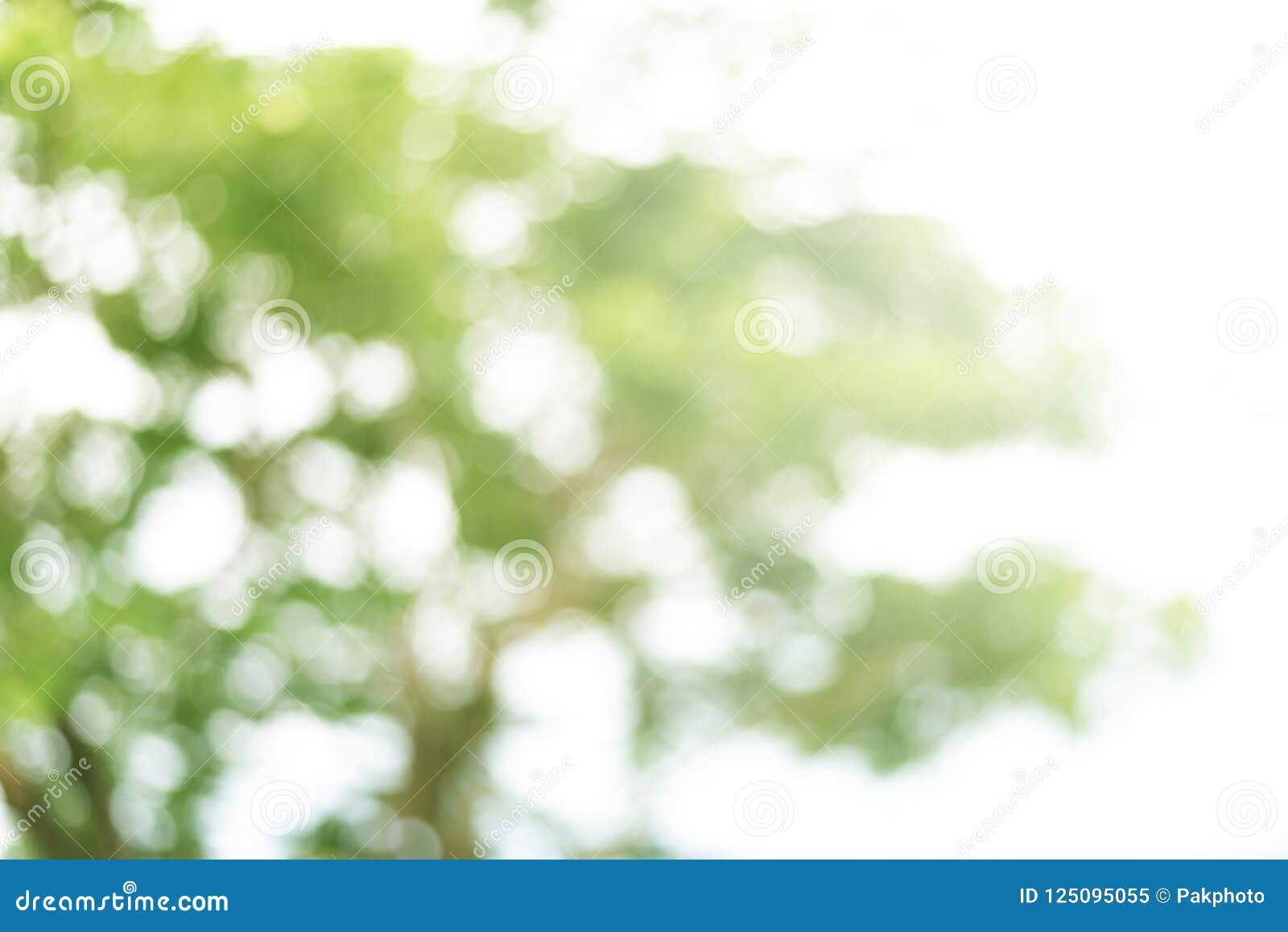 Abstract Nature Blur Background Stock Image - Image of environment, green:  125095055