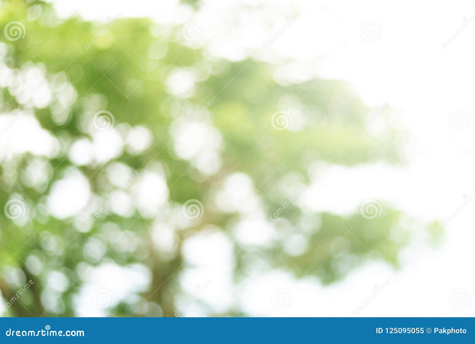 123,404 Blur Green Tree Background Stock Photos - Free & Royalty-Free Stock  Photos from Dreamstime