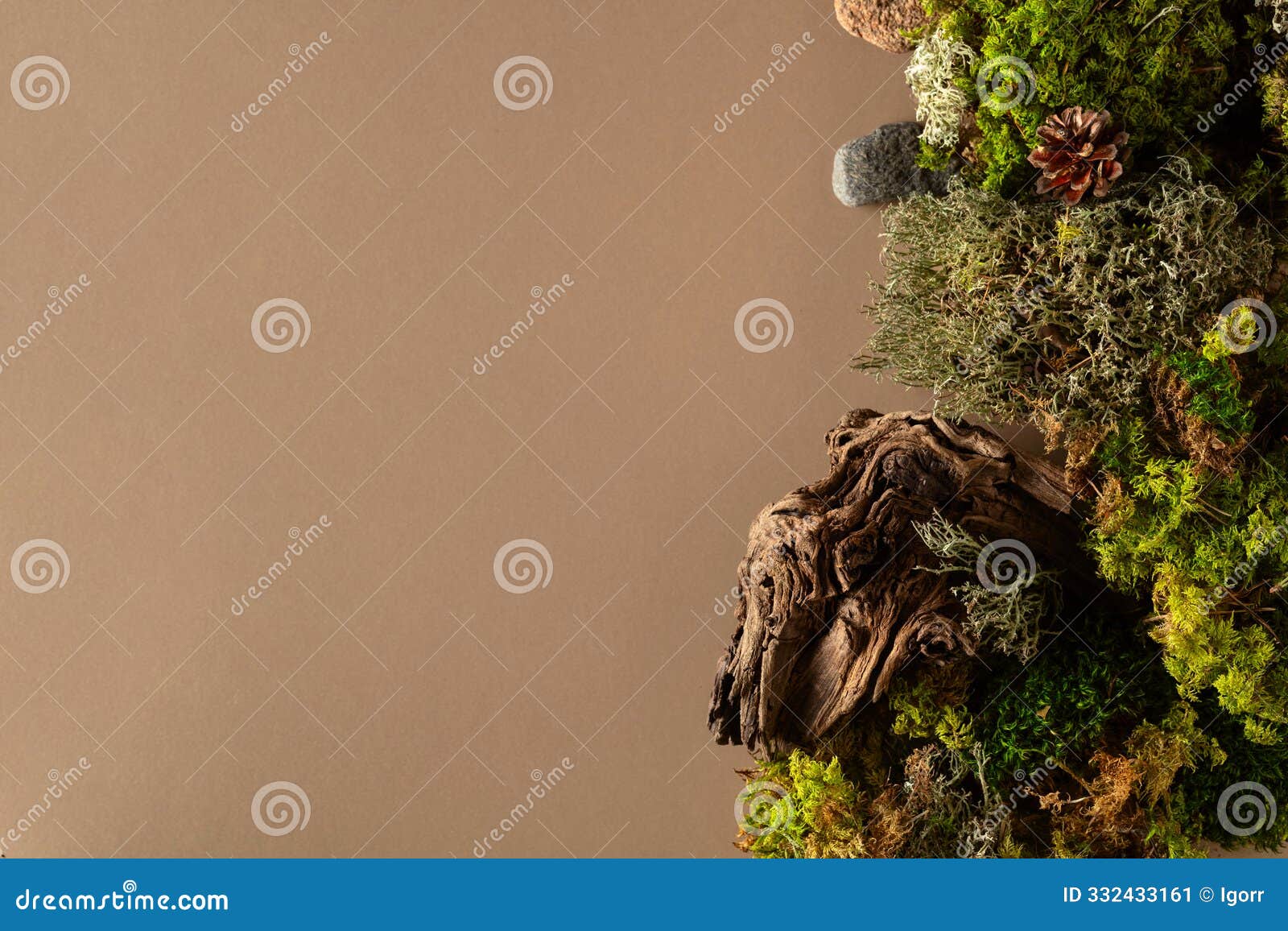 abstract north nature scene with a composition of lichen, moss, and old snags on a beige background