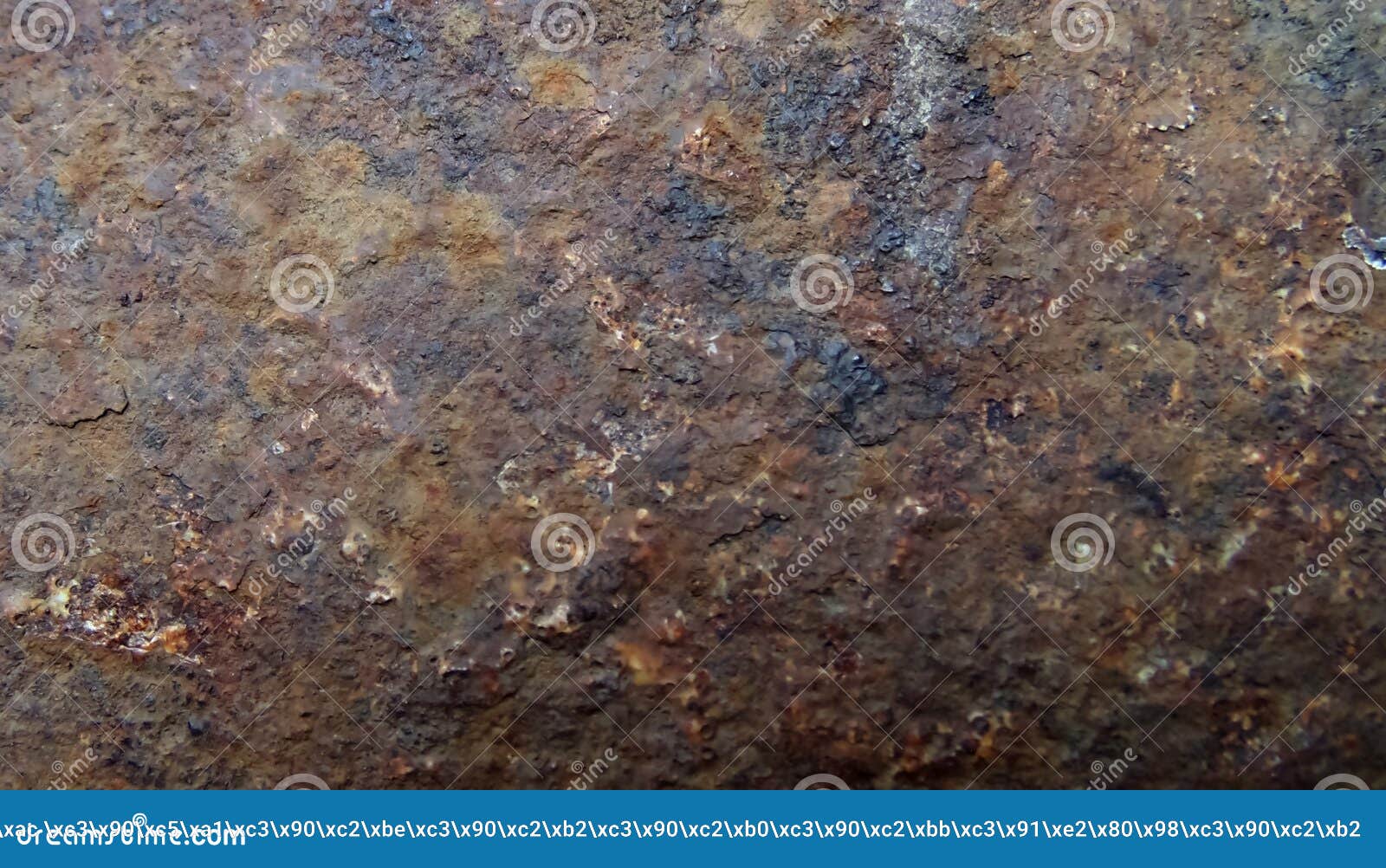 cracked rust download cracked rust download