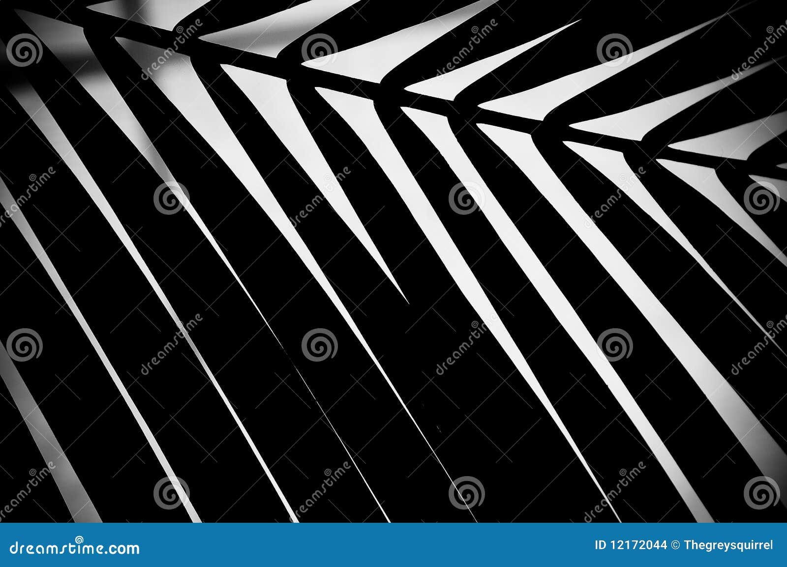 Abstract Palm Leaf stock illustration. Illustration of grey 12172044