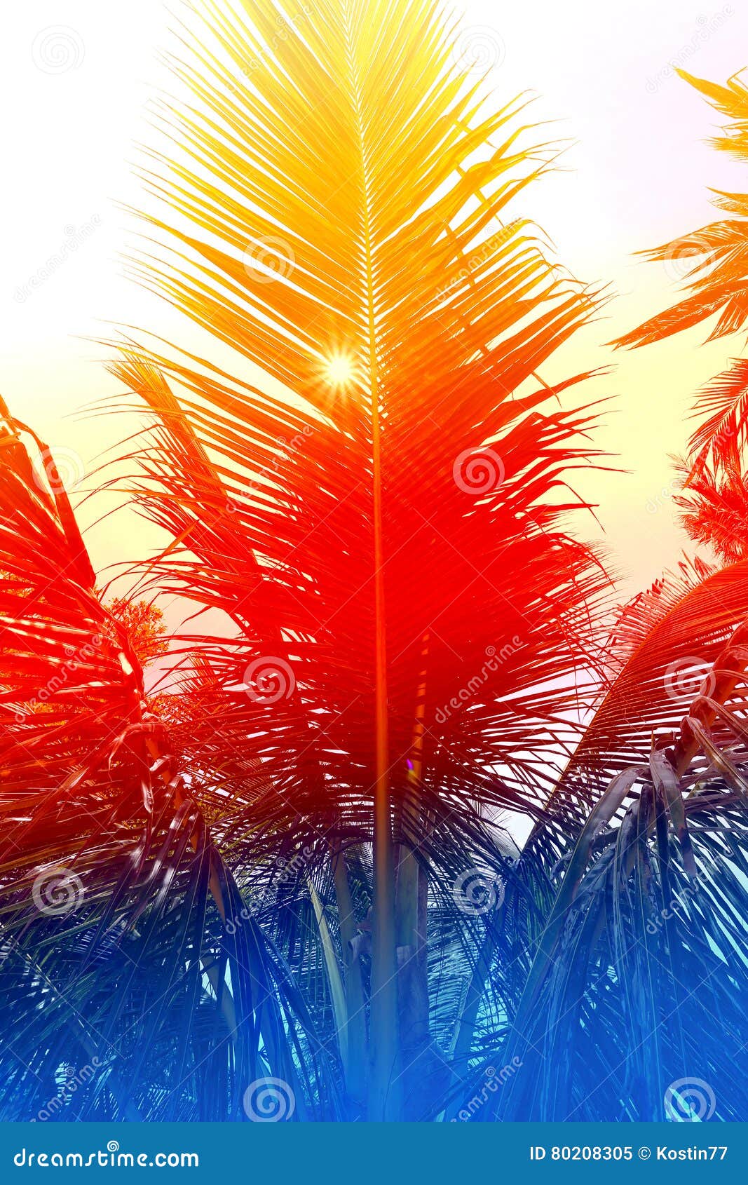 Abstract palm leaf stock image. Image of nature, pattern 80208305