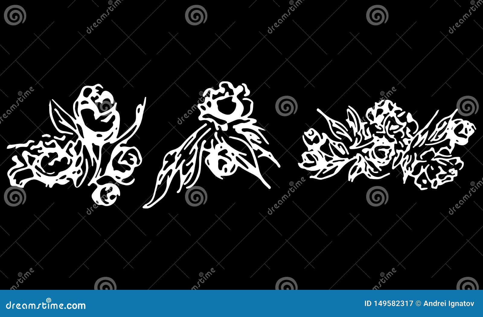 abstract peonies and roses  on black background. hand drawn floral collection. 3 floral graphic s. big  set.
