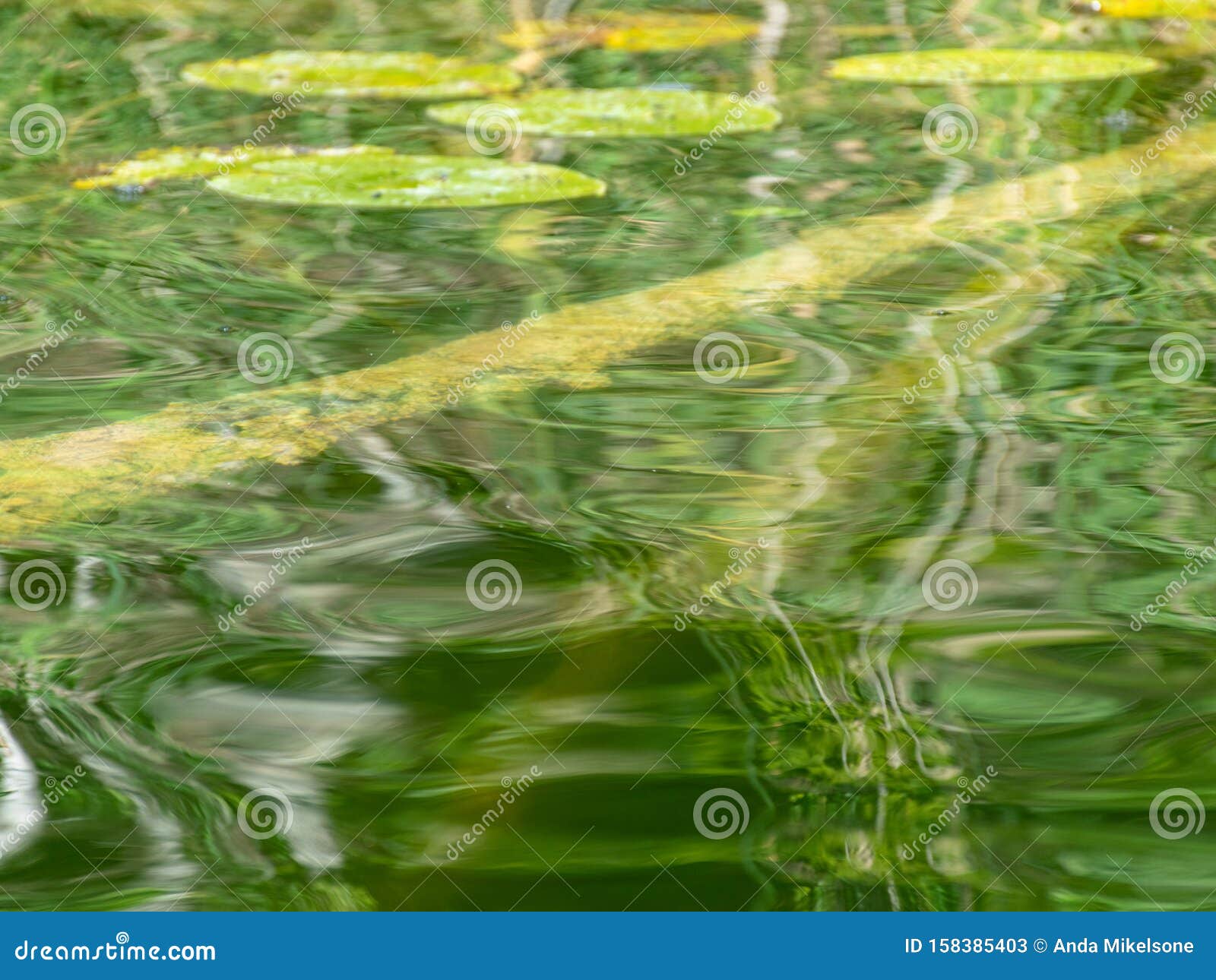 Abstract Picture with Underwater Plants, Reflections, Beautiful Colors ...